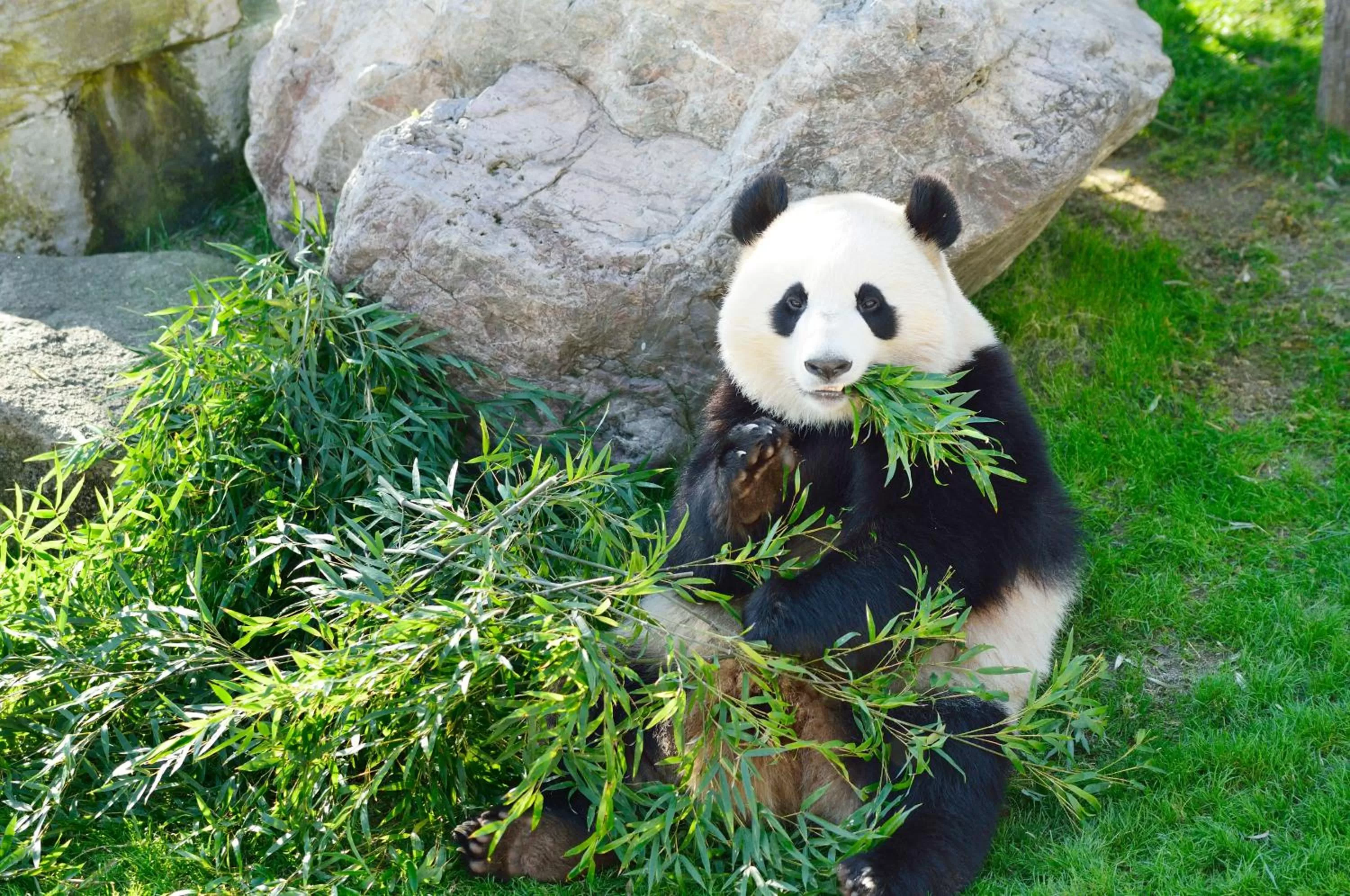 Nearby landmark in Sotetsu Fresa Inn Tokyo Kanda