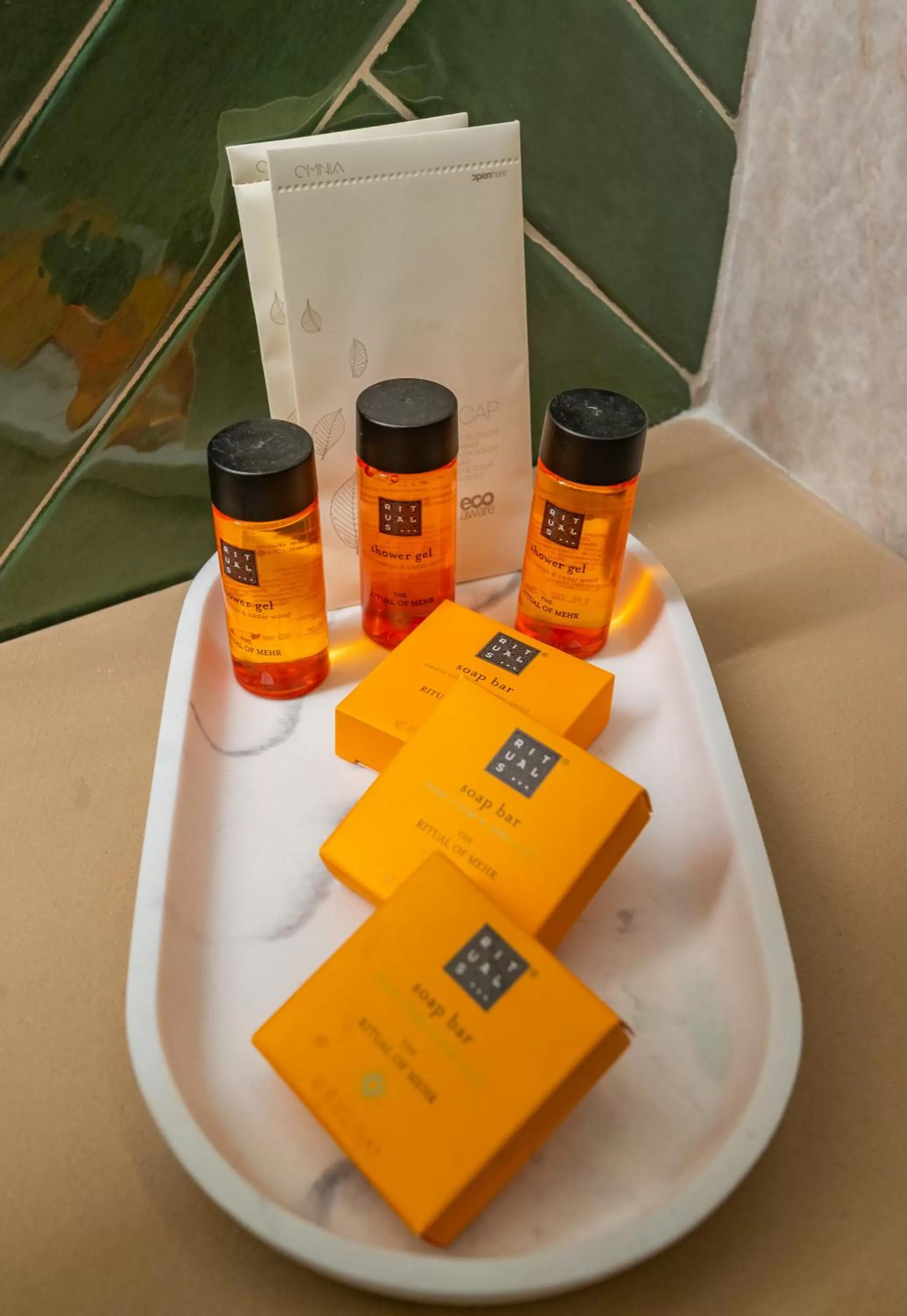 Shower in Hotel Codrişor