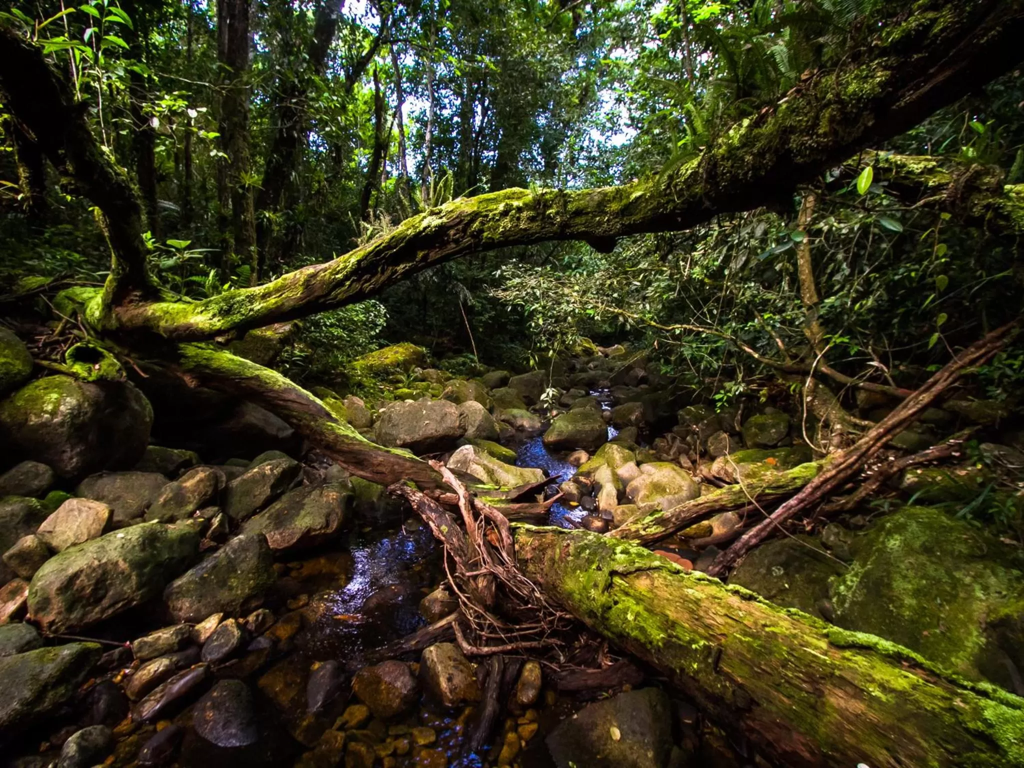 Area and facilities, Natural Landscape in Lagamar Ecohotel