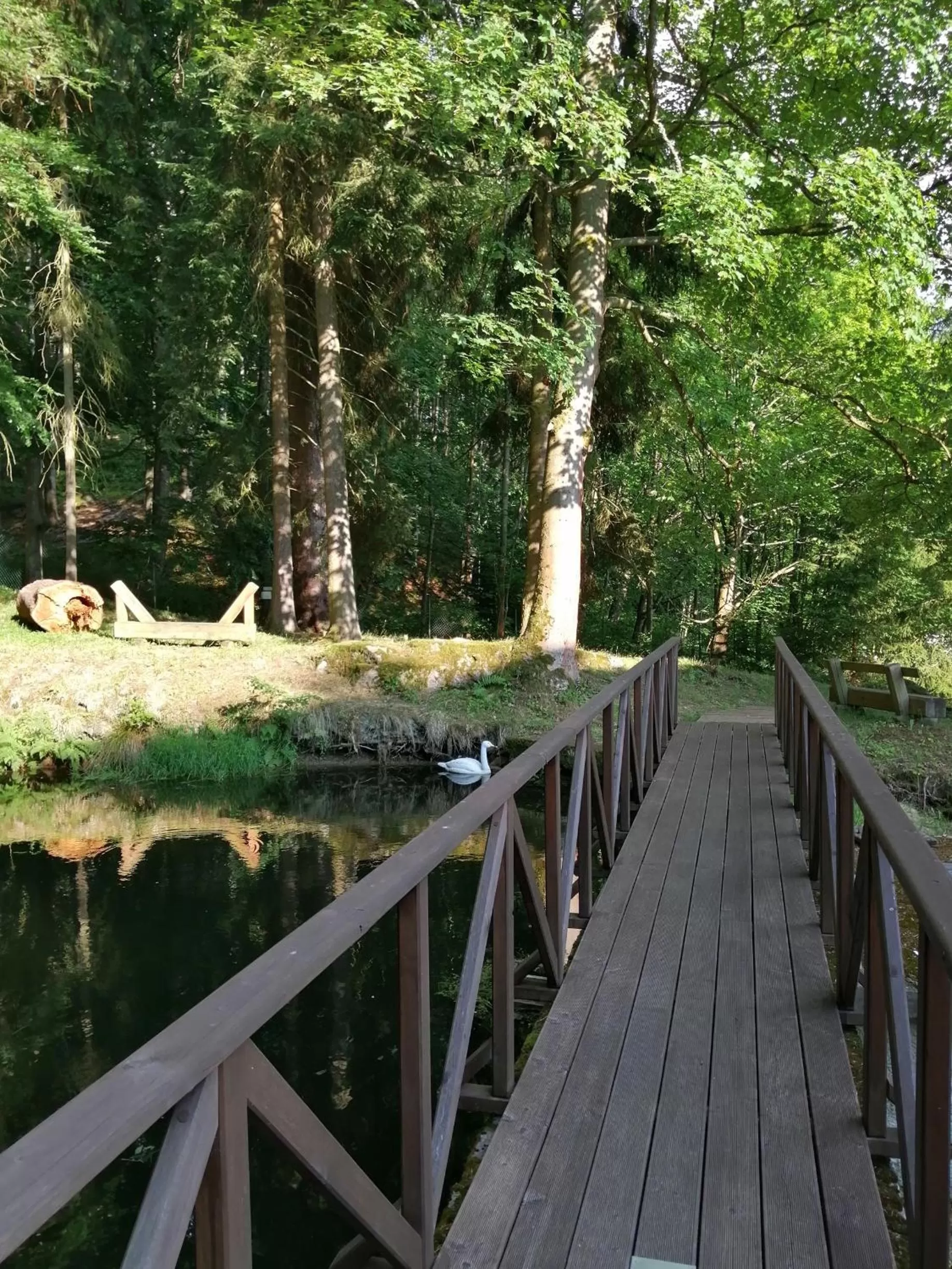 Off site in Parkhotel Forest