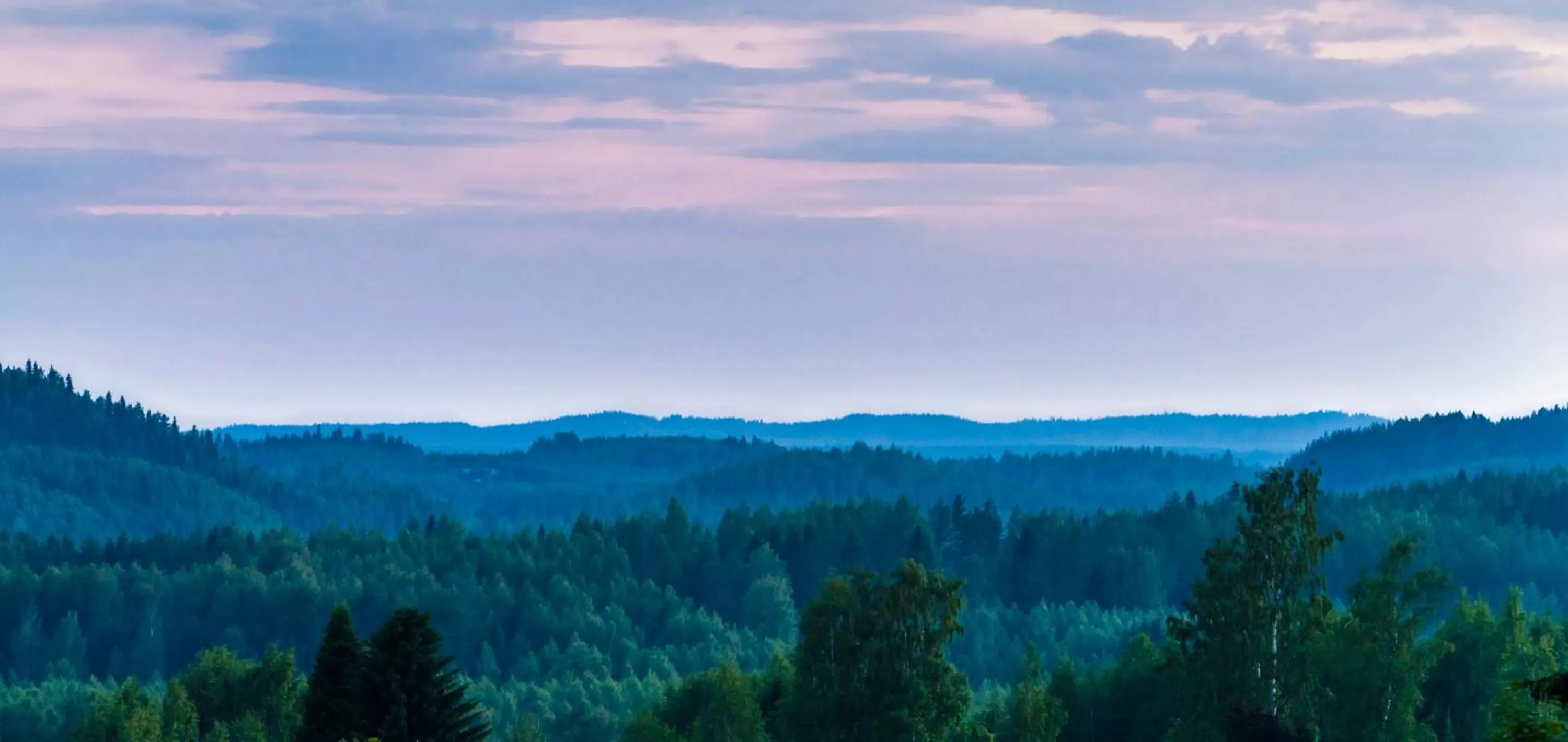 Natural Landscape in Minimotel