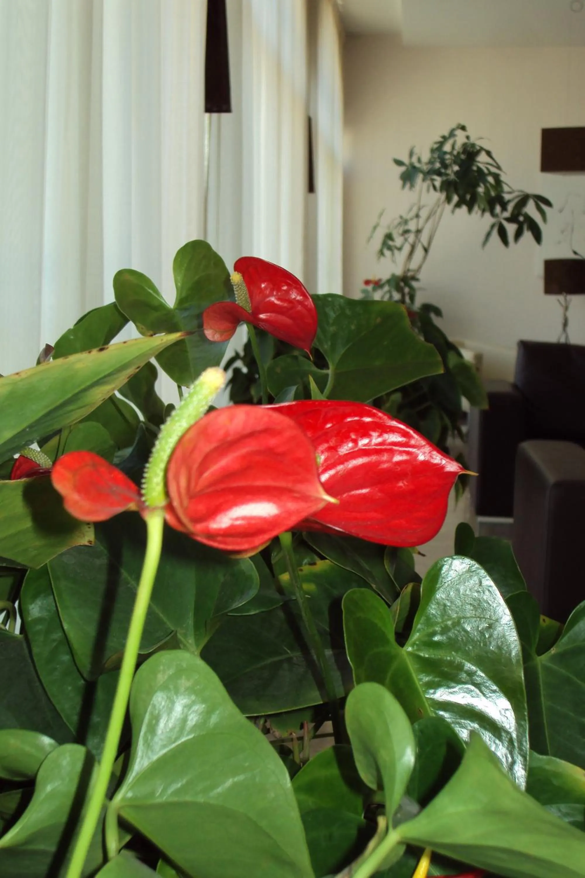 Other in Hotel For You