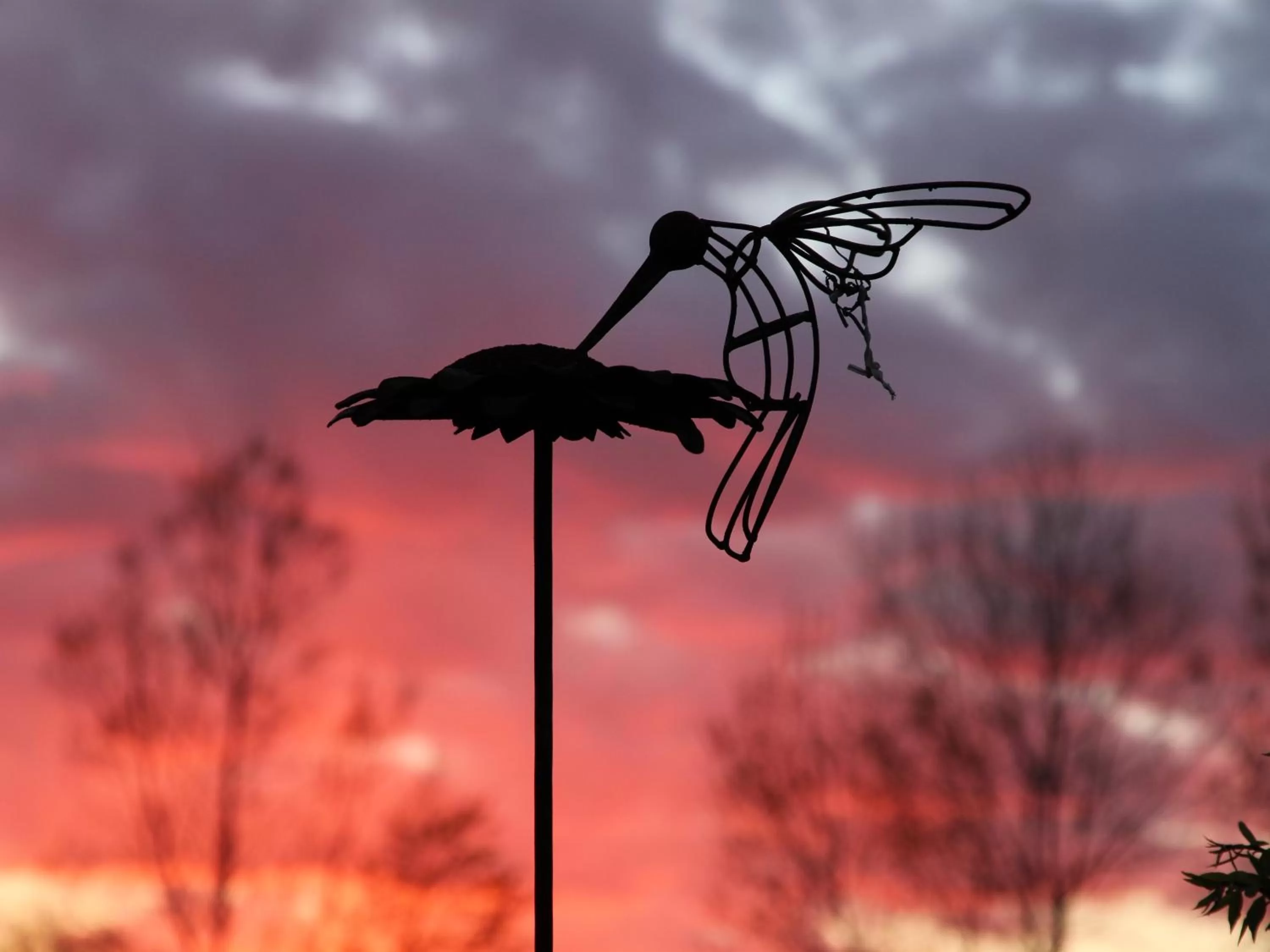 View (from property/room), Other Animals in Wenzler's Landing B&B