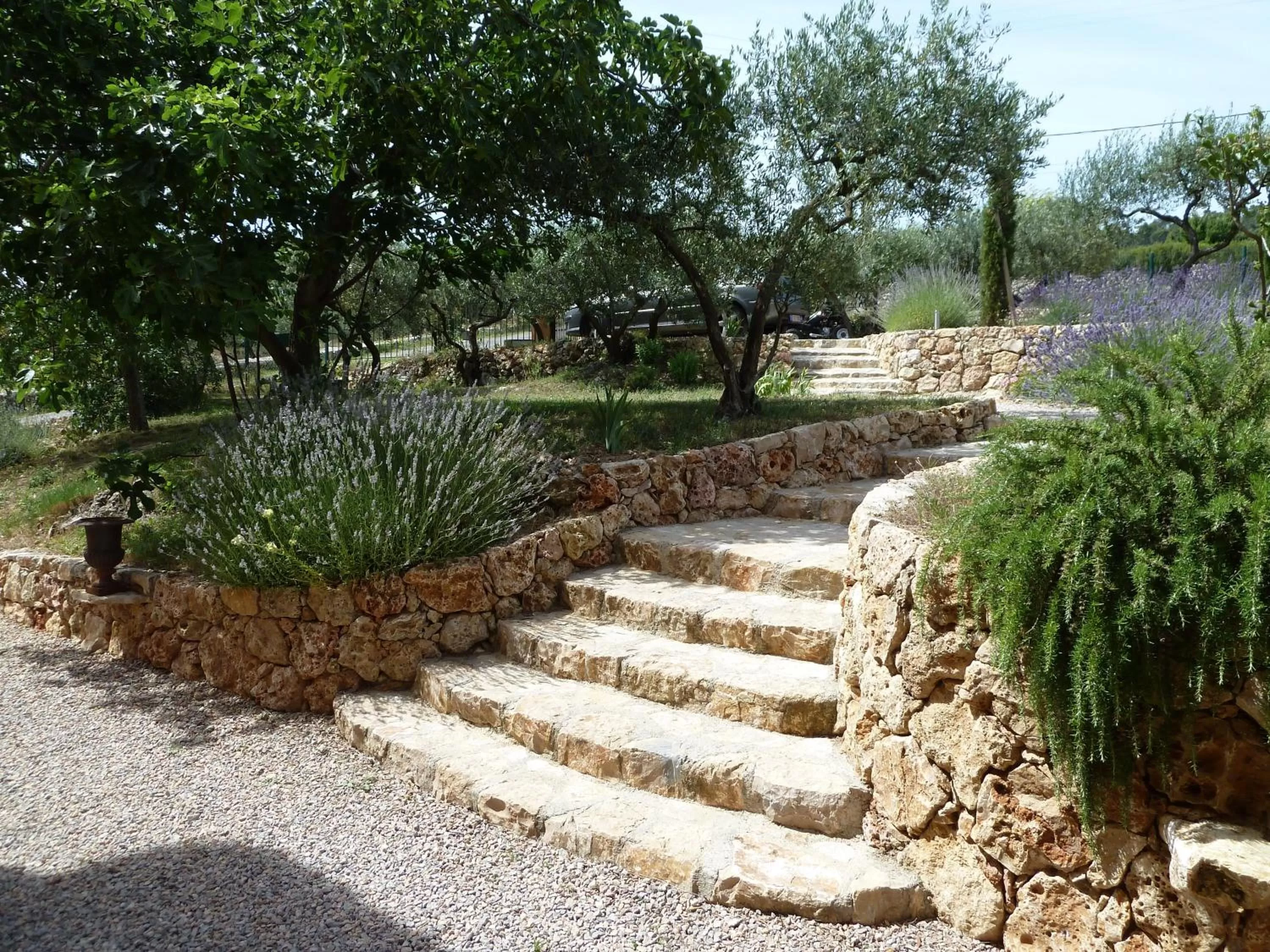 Garden in Mas de l'Olivette