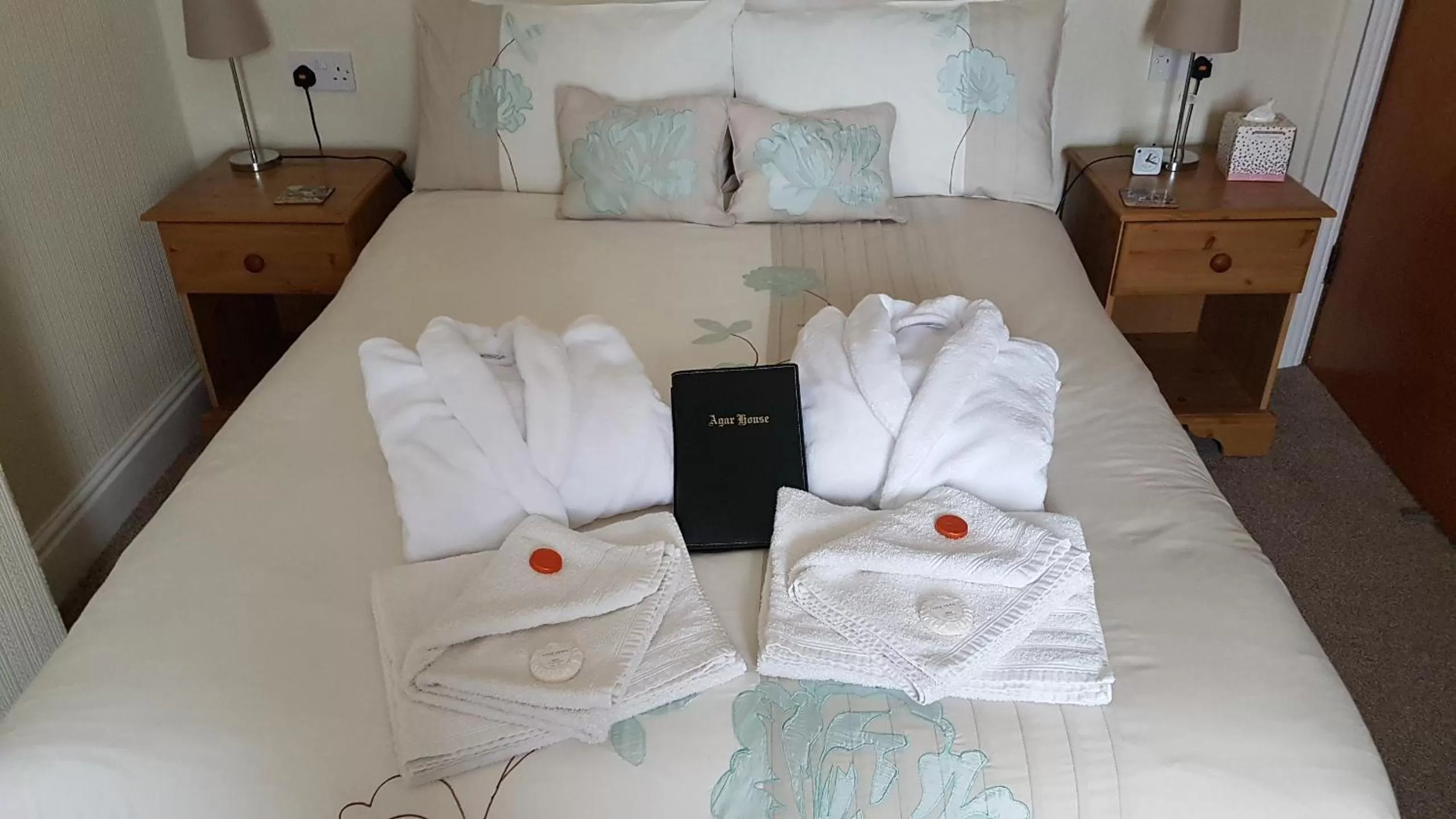 Deluxe Double Room with Shower in Agar House