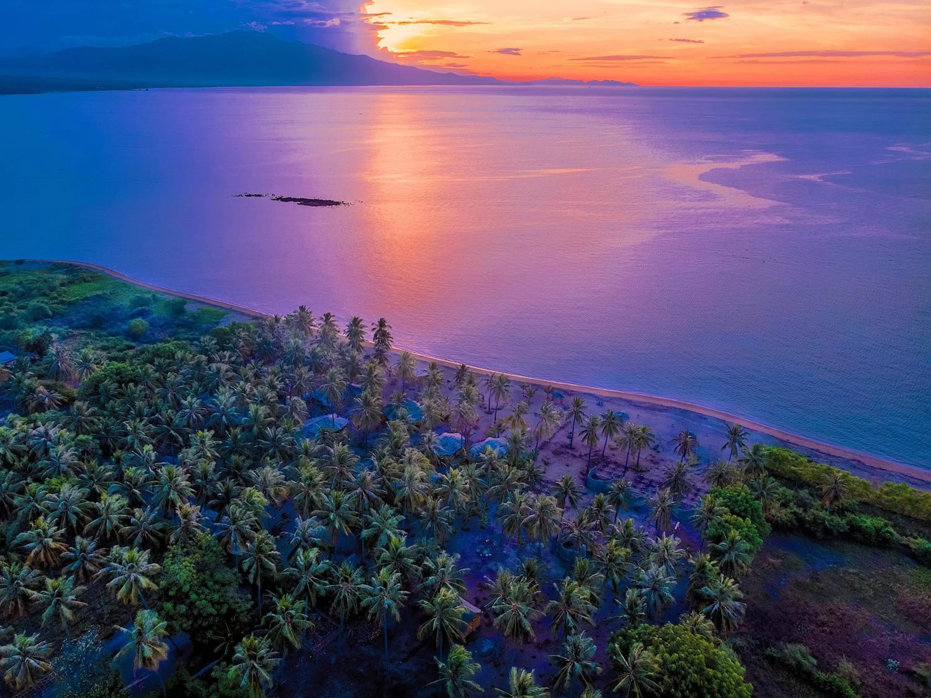 Natural landscape in Coconut Garden Beach Resort