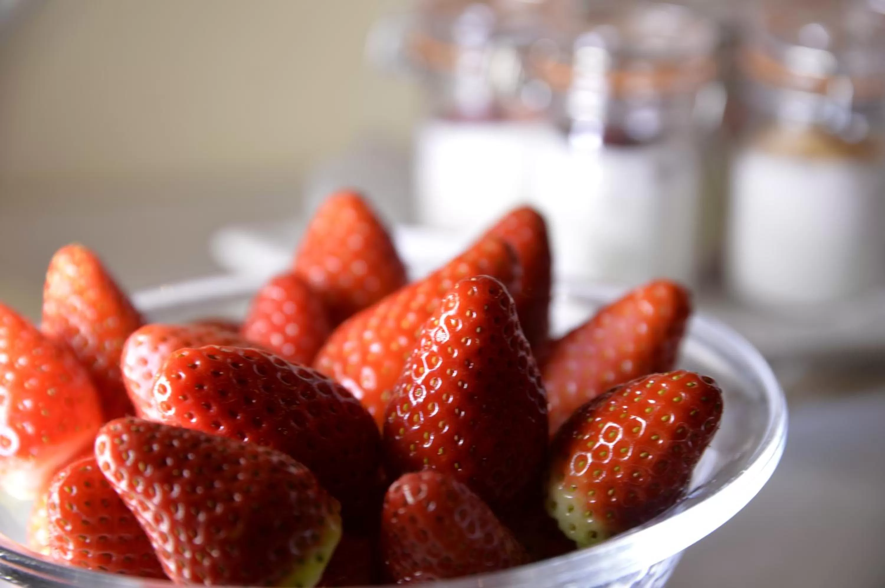 Continental breakfast in Best Western Hotel Armando