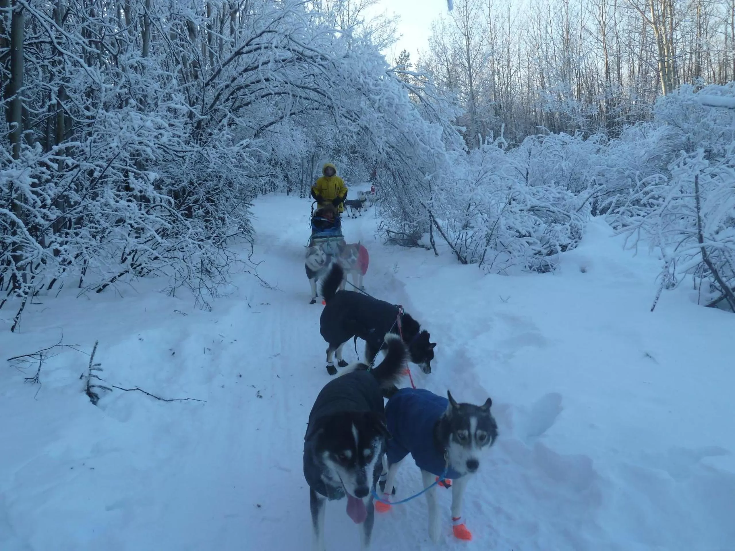 Other in Hidden Valley Bed and Breakfast