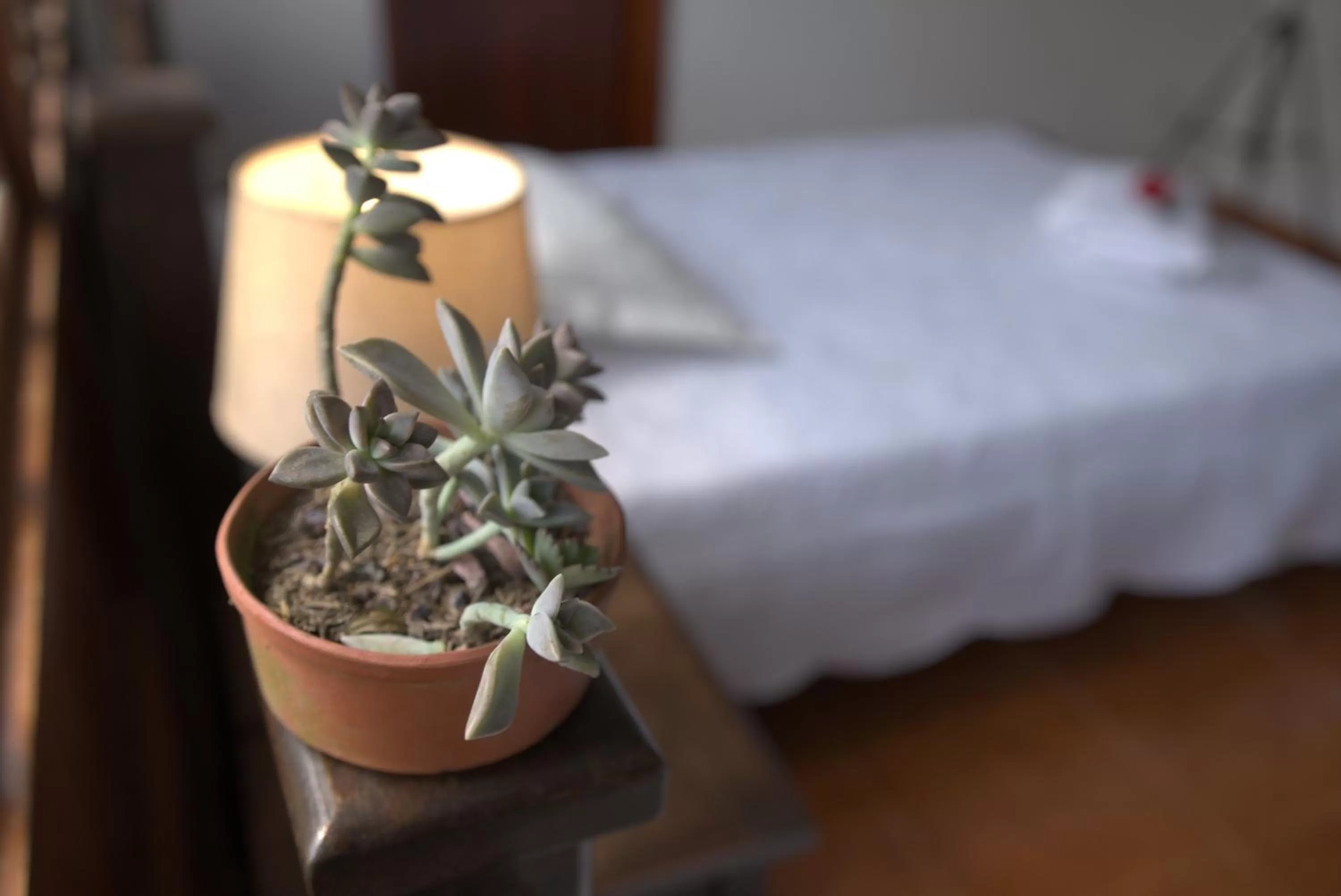 Bed in Hotel Chalet El Castillo by Majuva