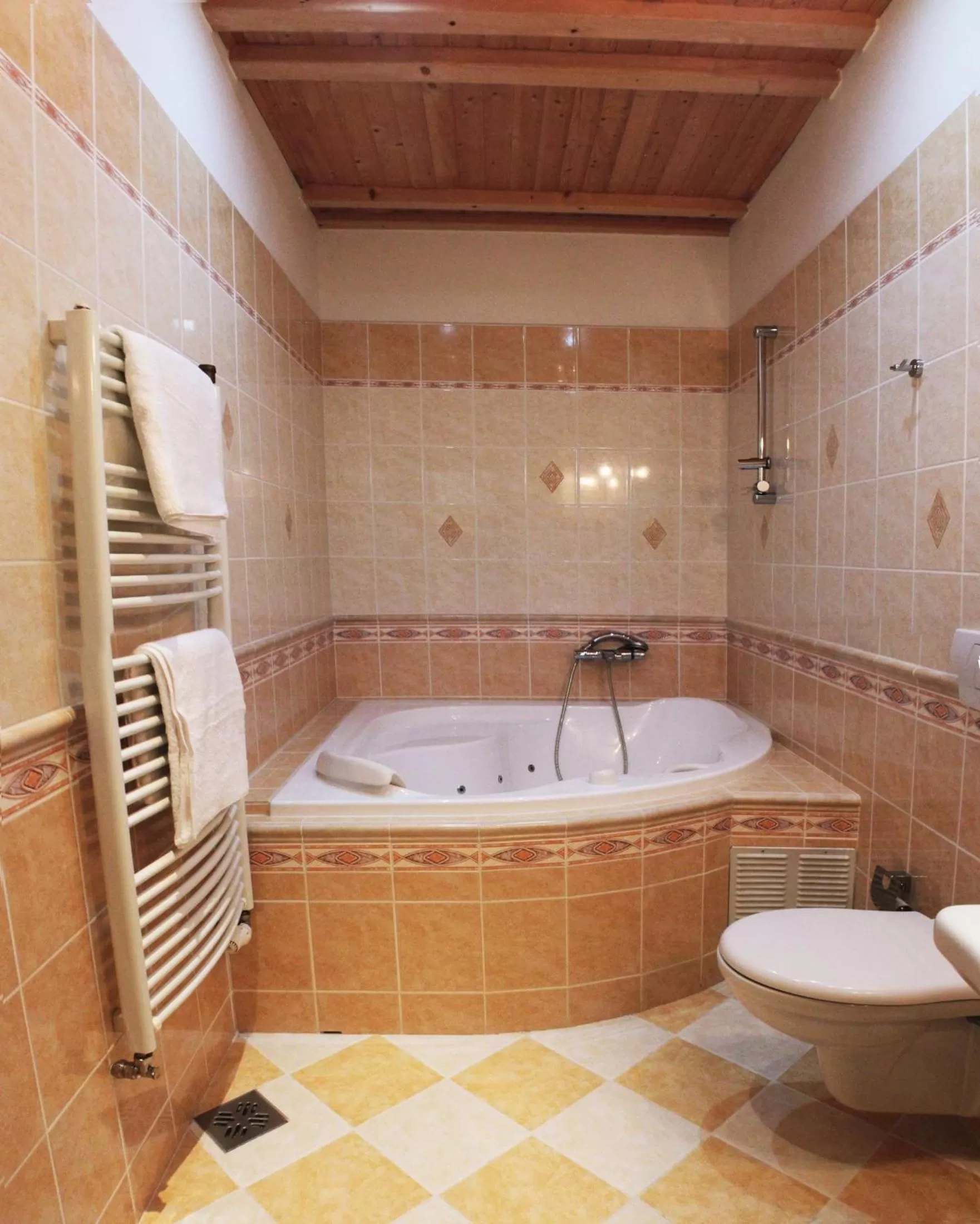 Bathroom in Hotel Orix