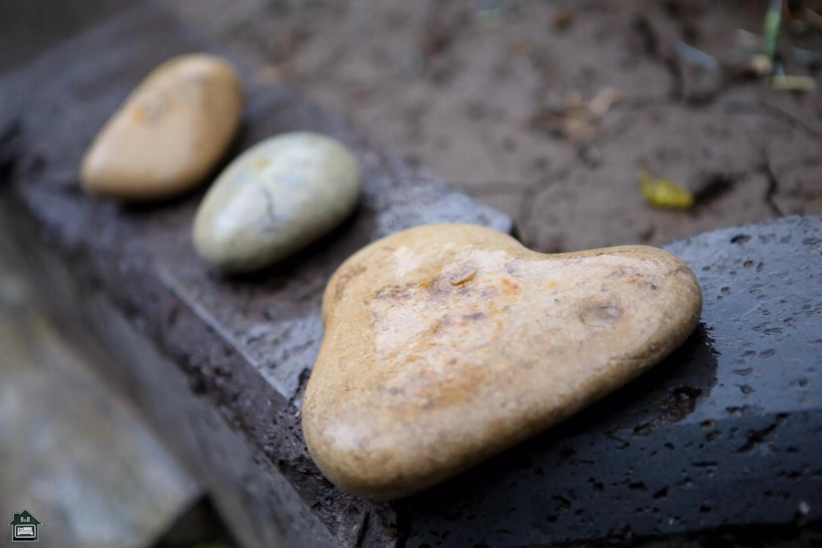 Food in Guest House in Gyumri