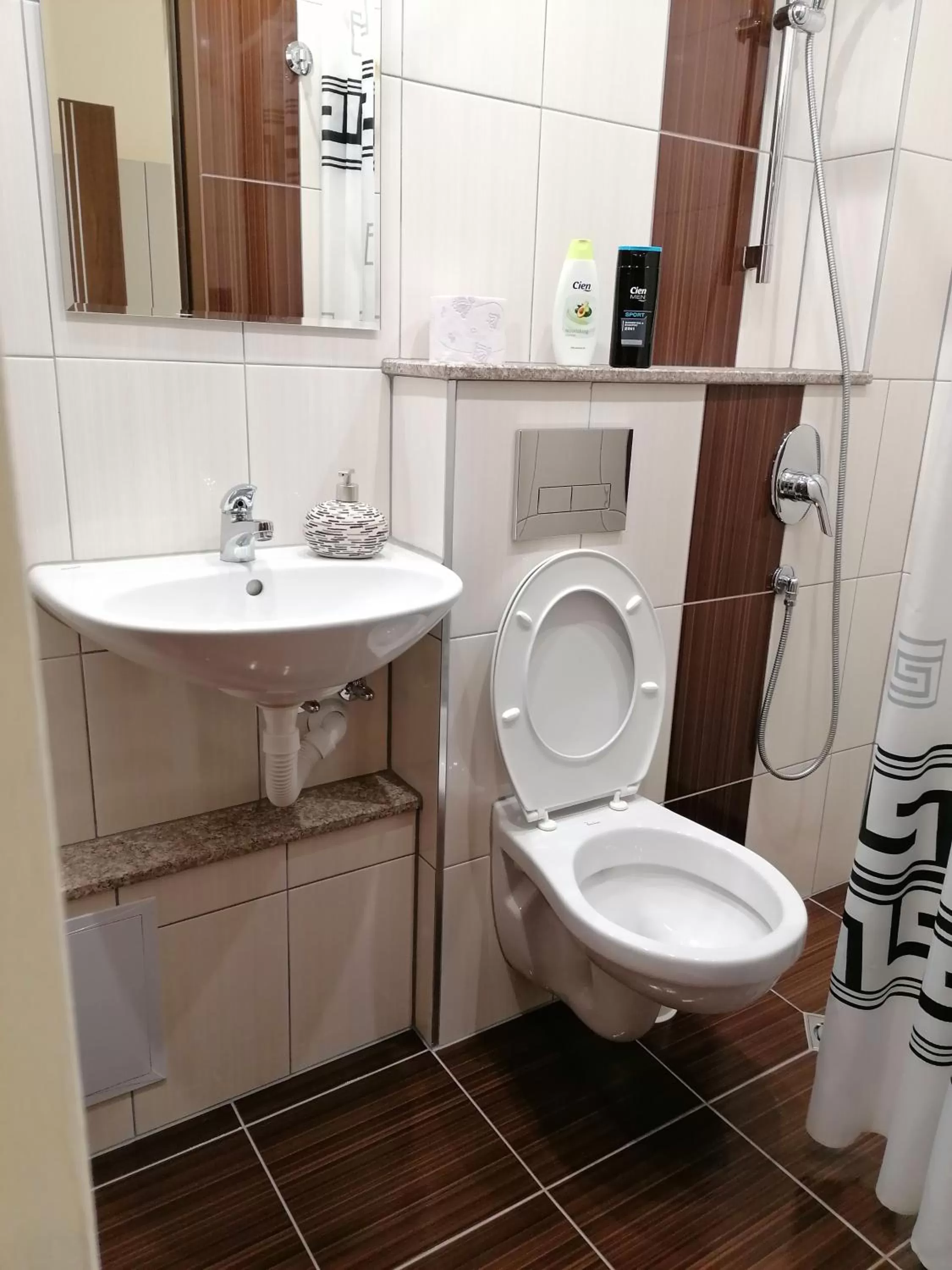 Bathroom in Hotel Lago Peshtera