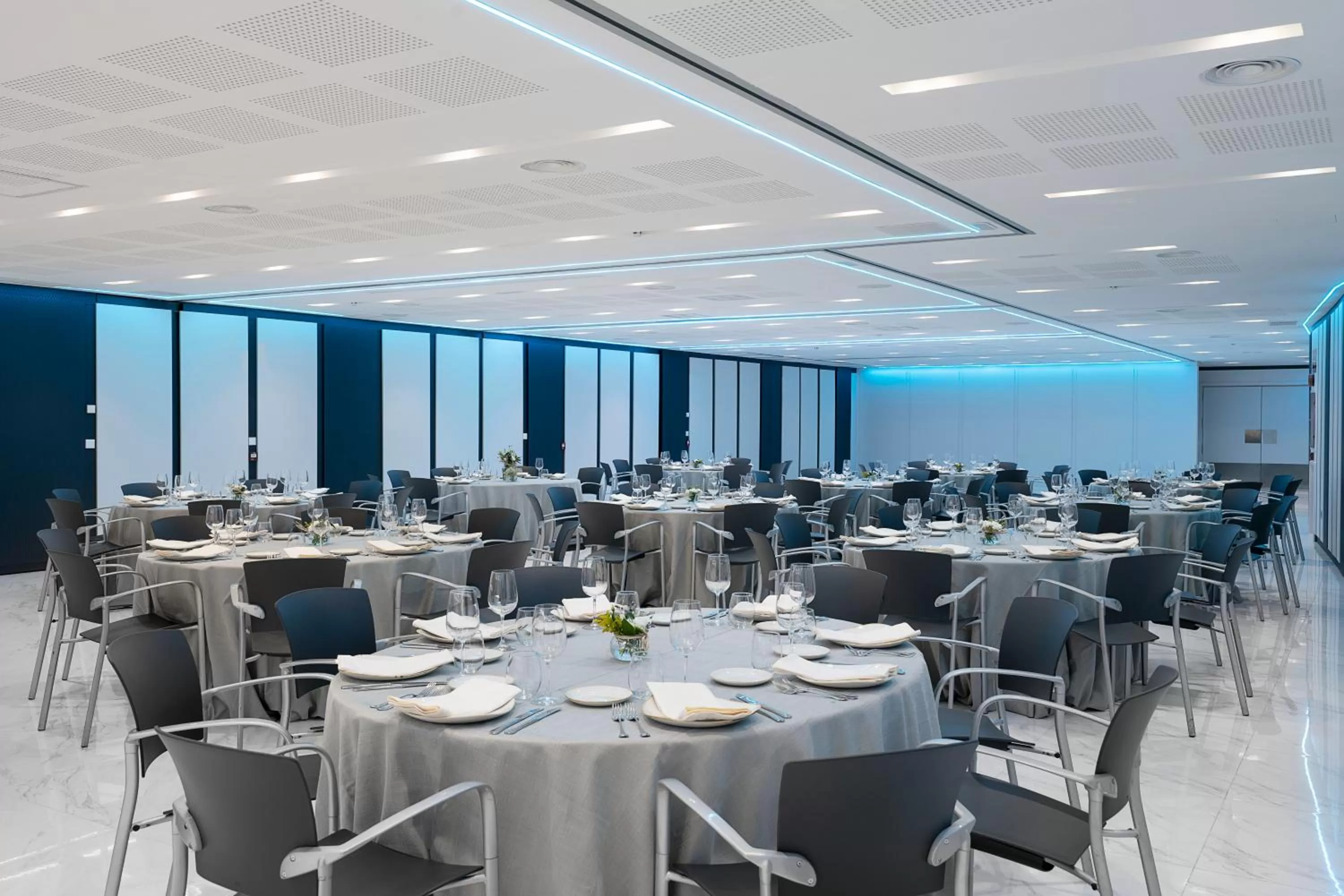 Banquet/Function facilities in Vincci Soma