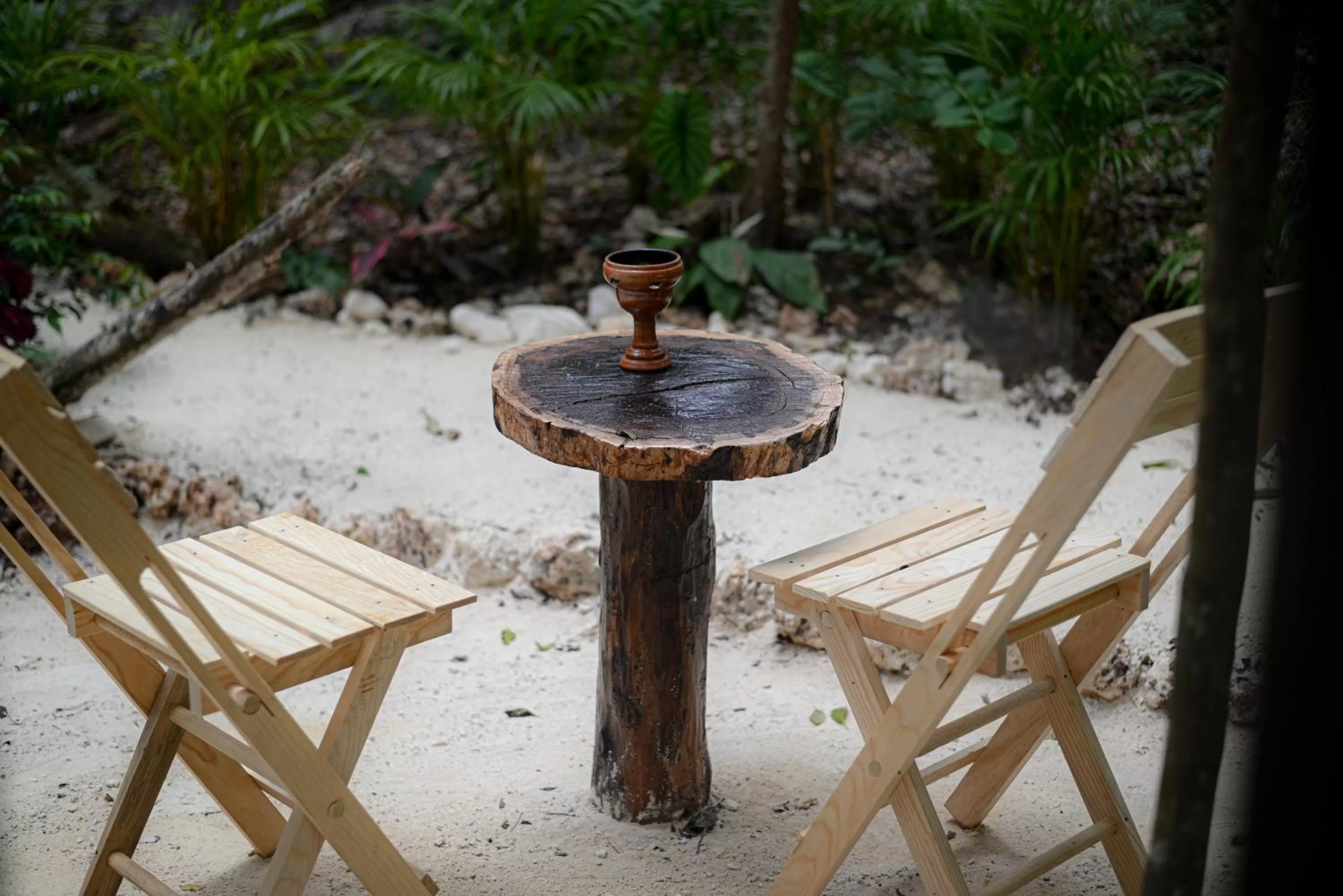 Garden in Lunita Jungle Experience