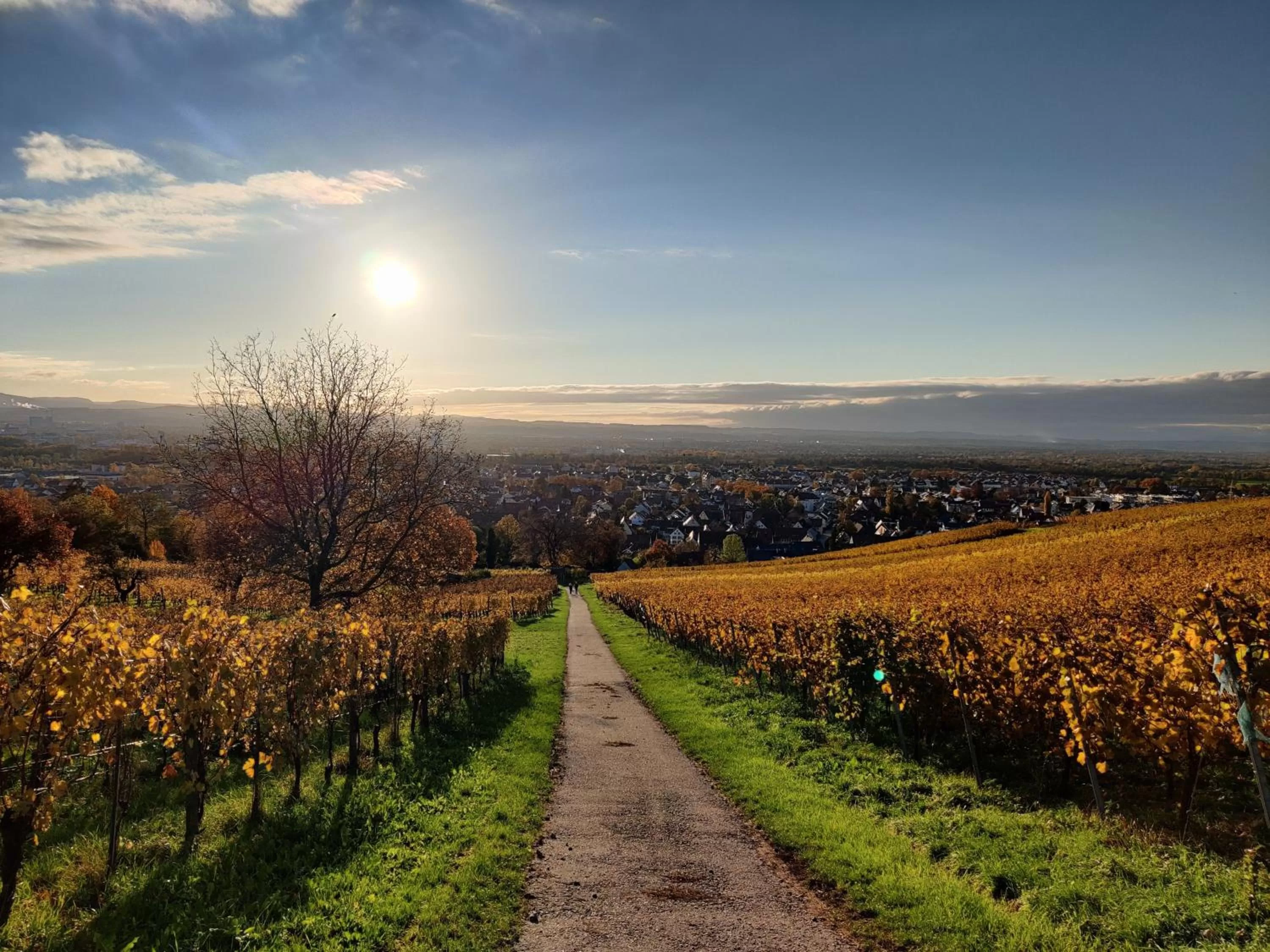 People in Landgasthof Rebstock Weil am Rhein / Basel