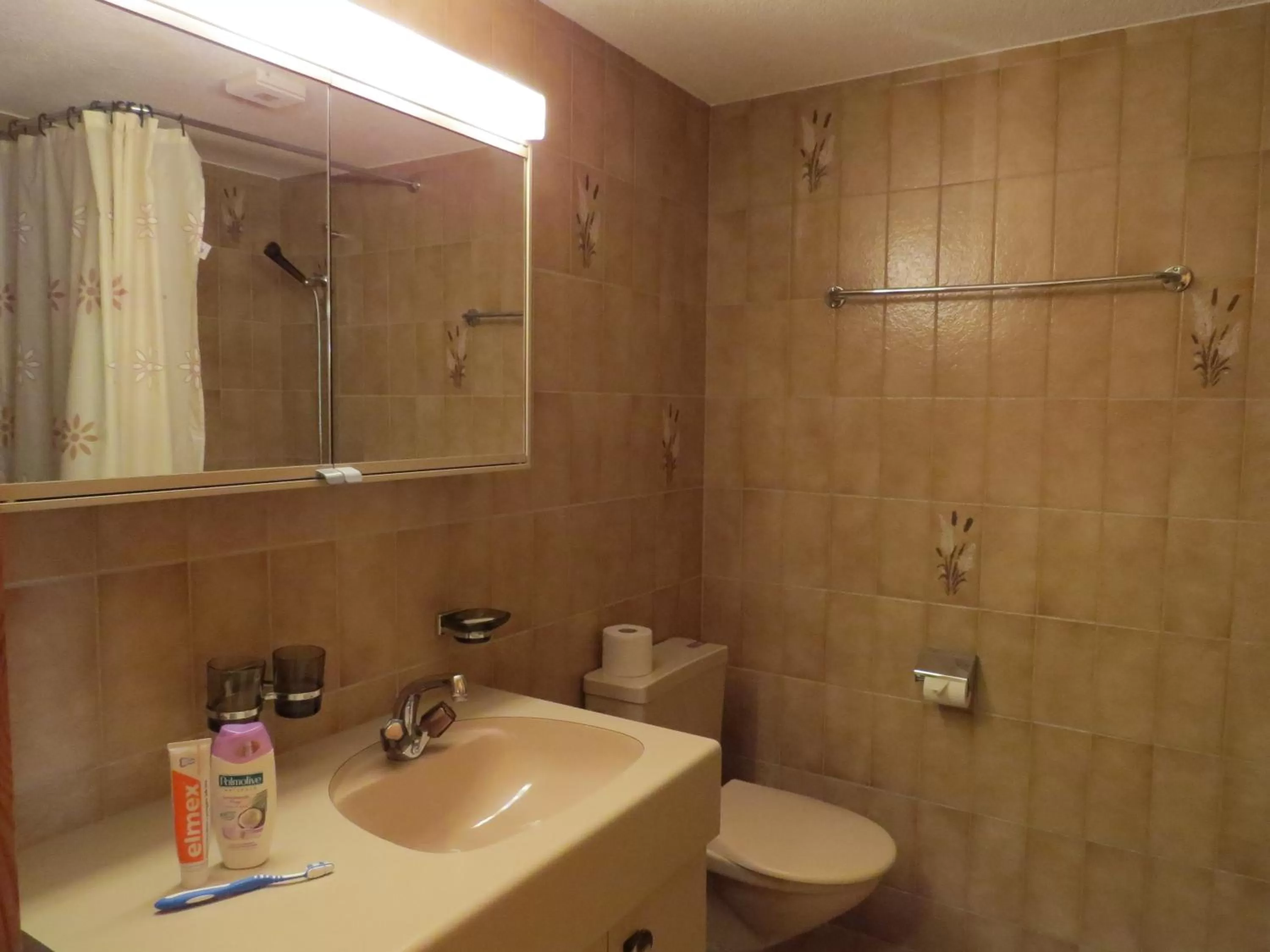 Bathroom in Hof Arosa