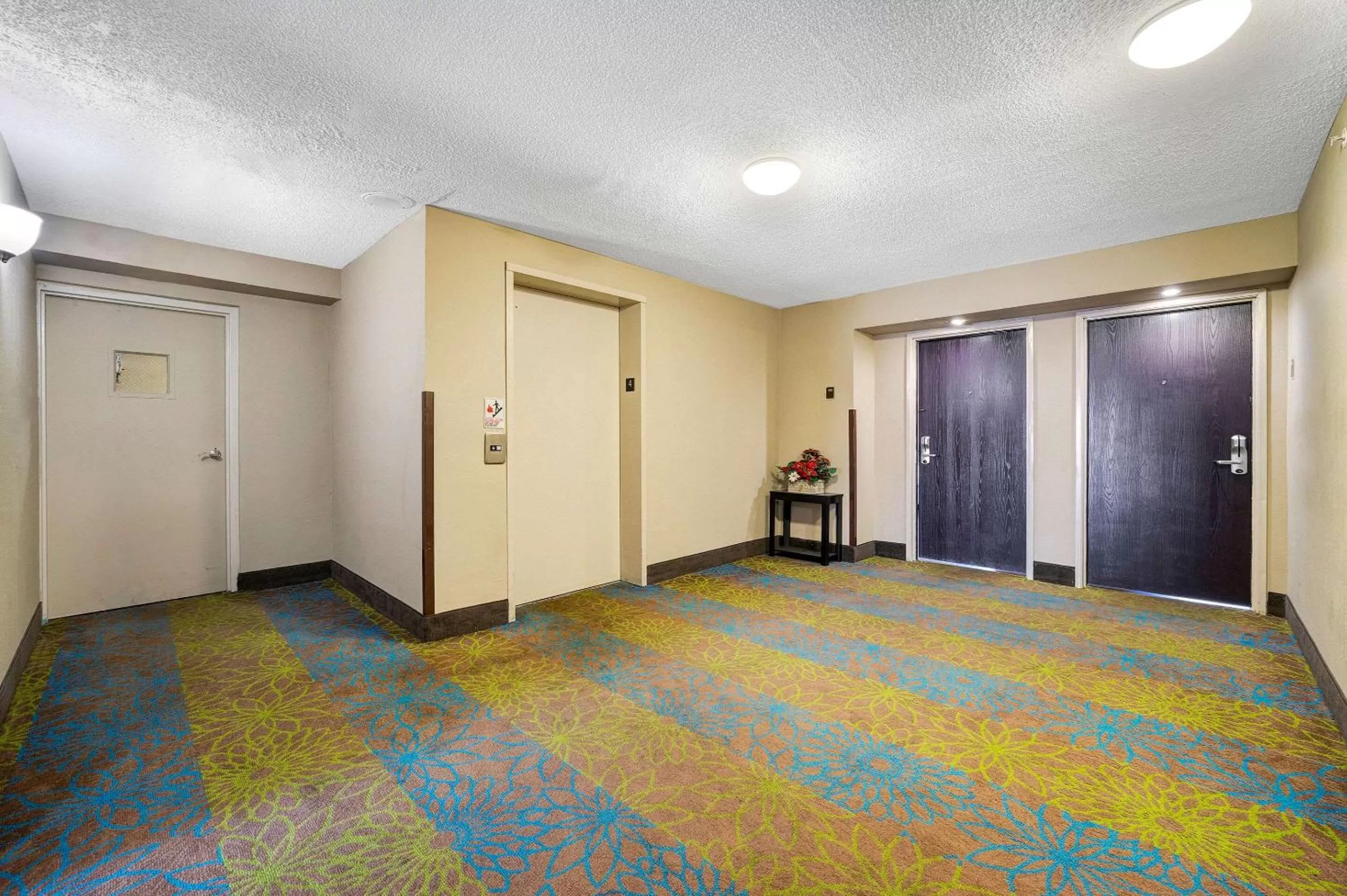 Lobby or reception in Sleep Inn Leesburg Chain of Lakes