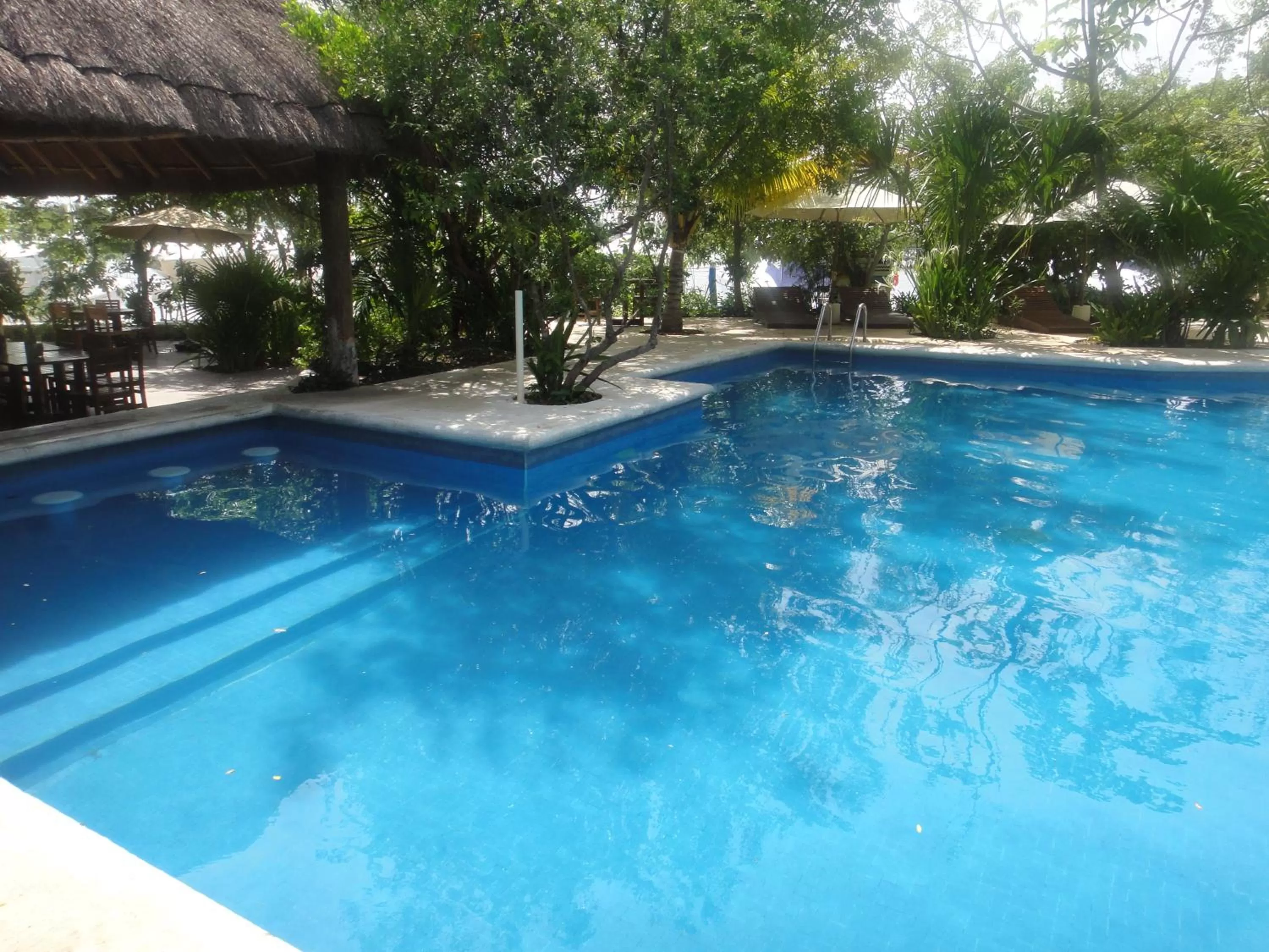 Swimming pool in Sotavento Hotel & Yacht Club