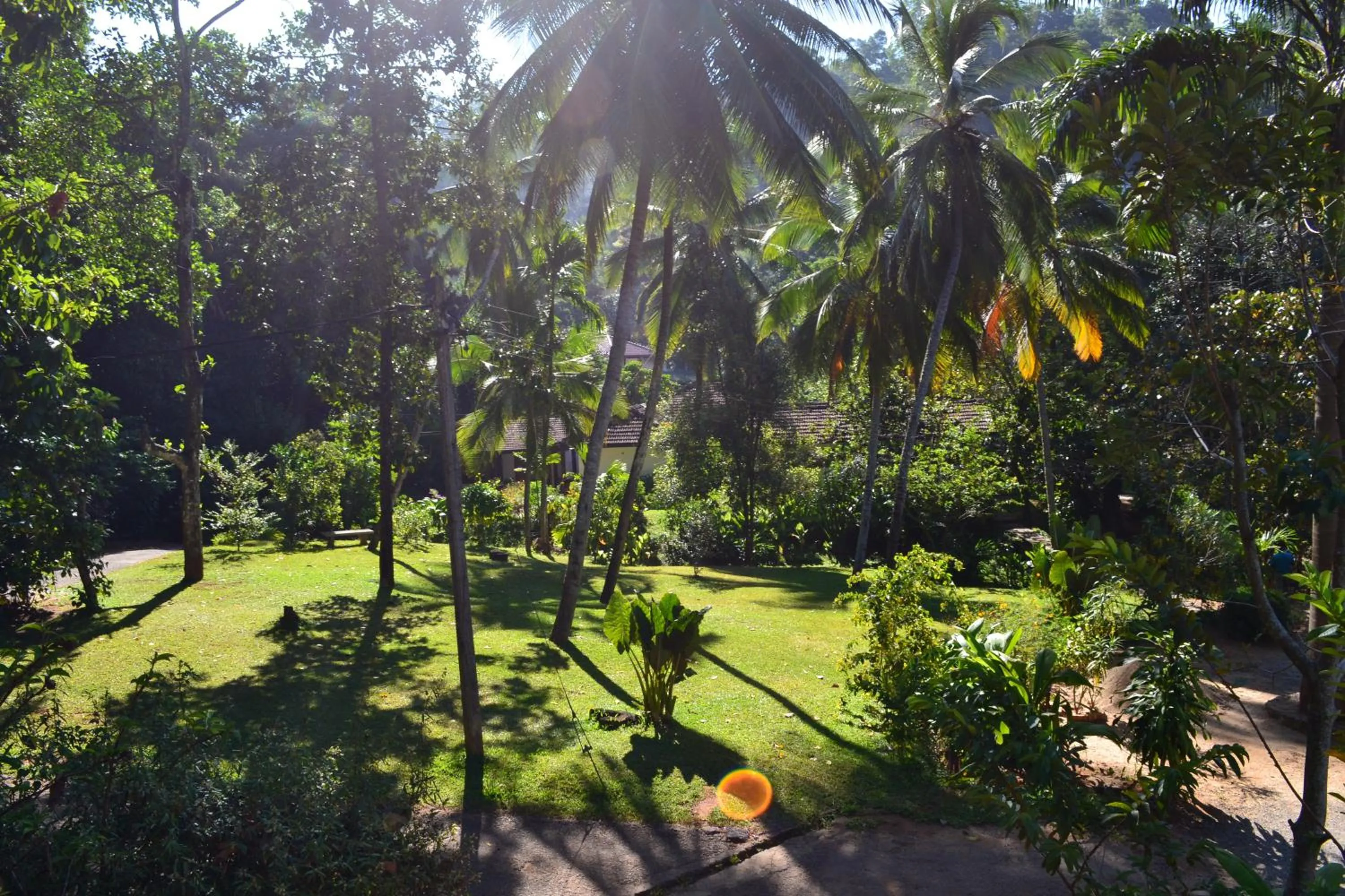 Day in Sweet Cinnamon Kandy