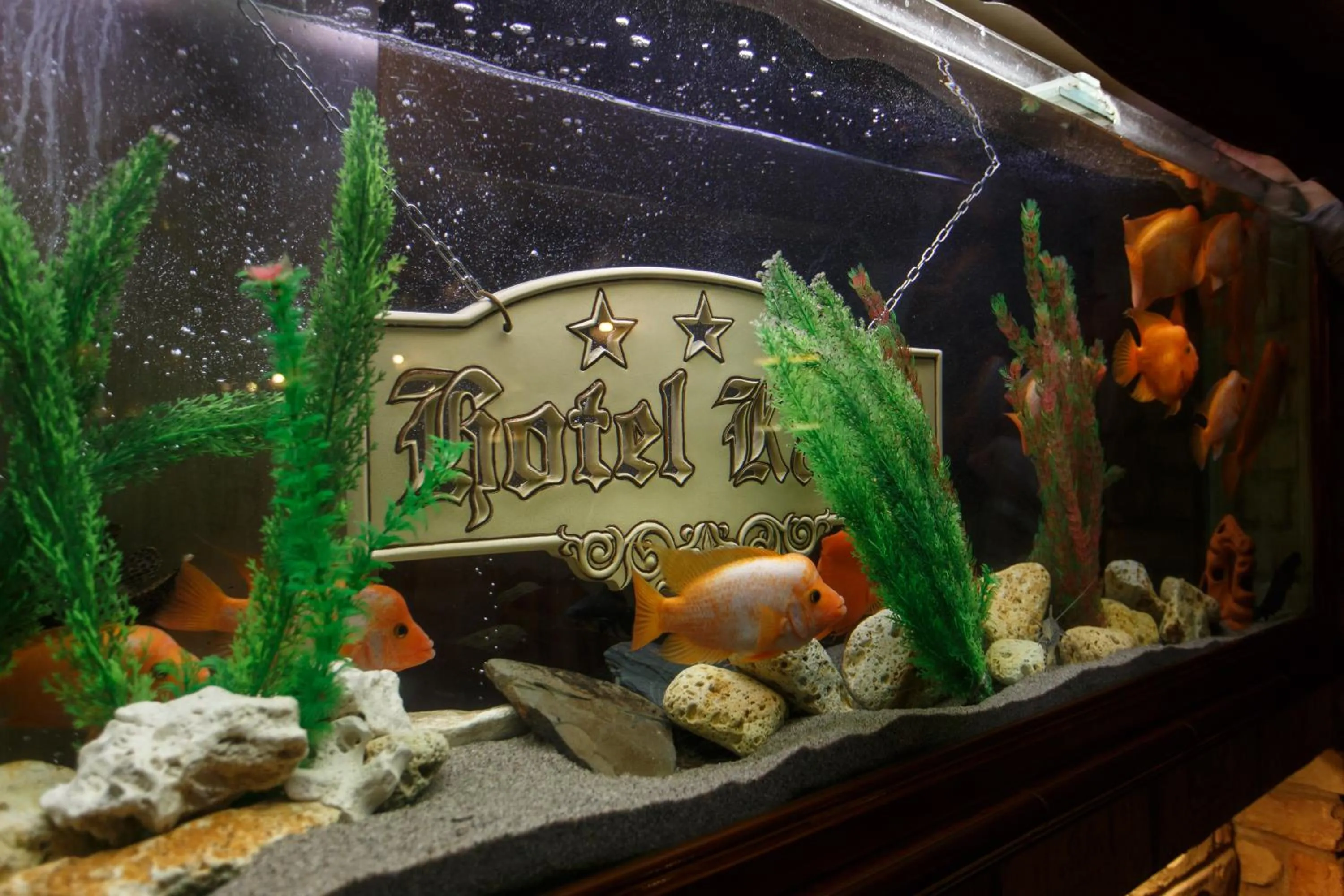 Property logo or sign in Hotel Karin