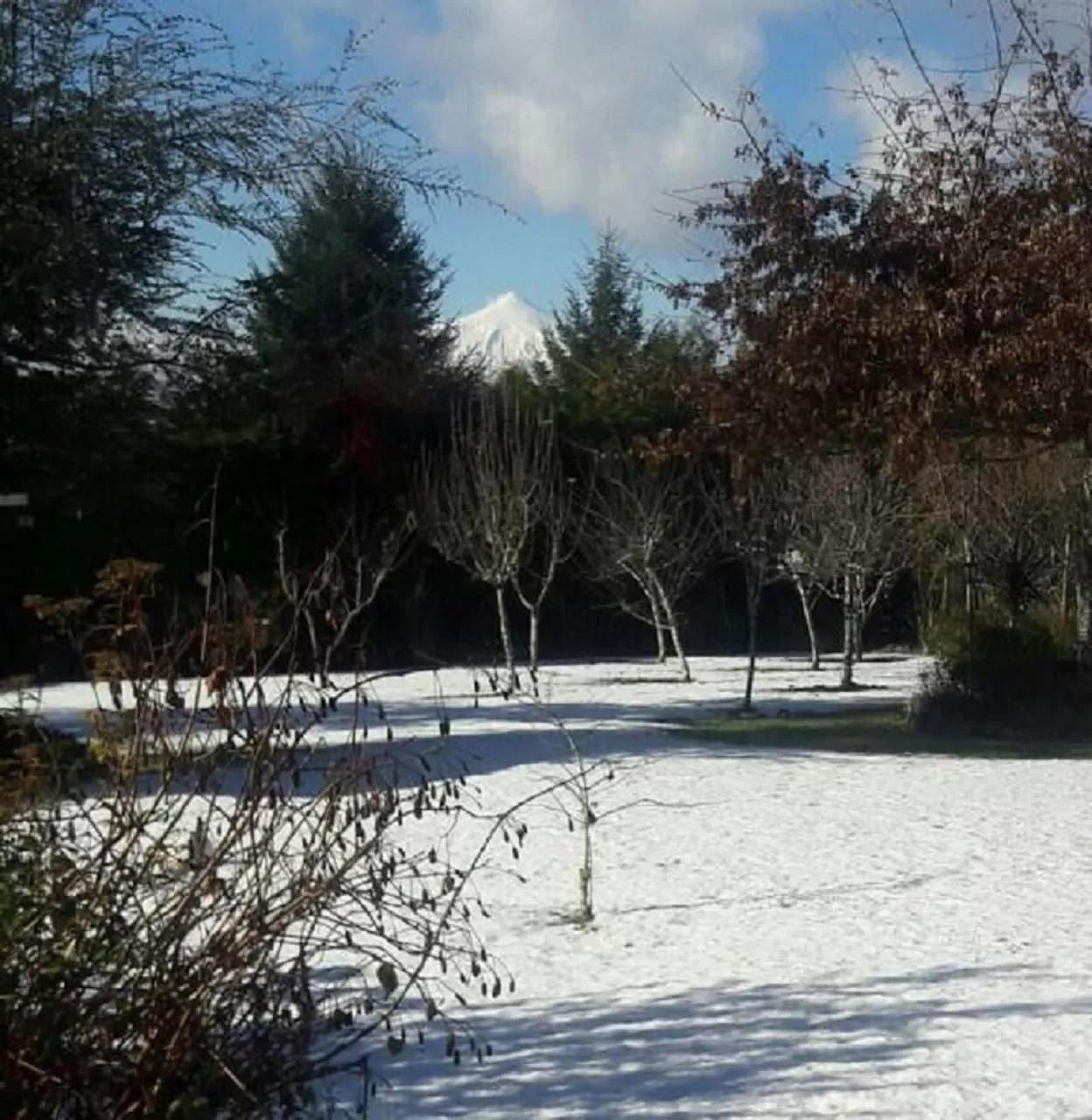 Winter in Hostal Möller