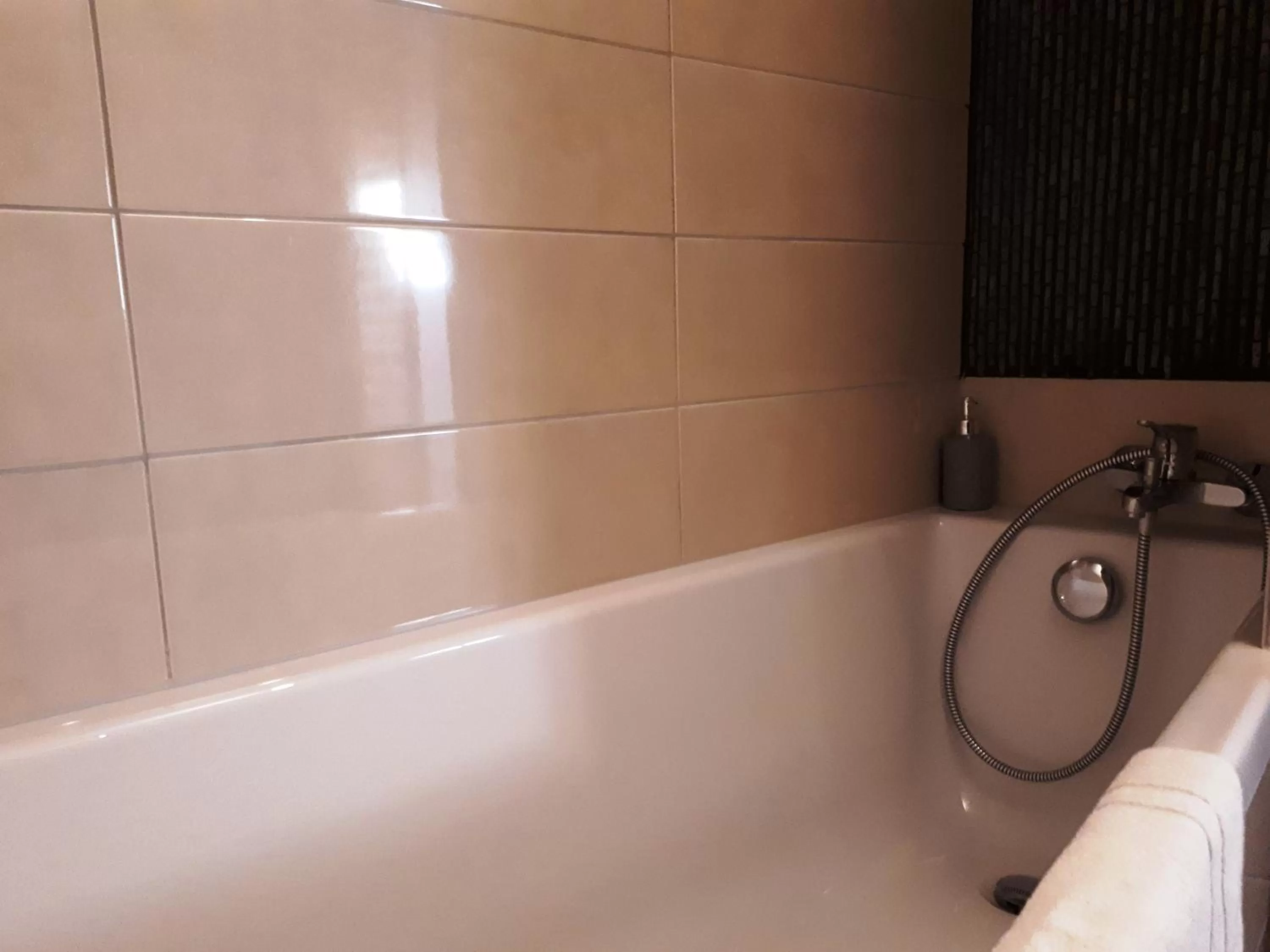 Bathroom in B&B De Dubbelmolen