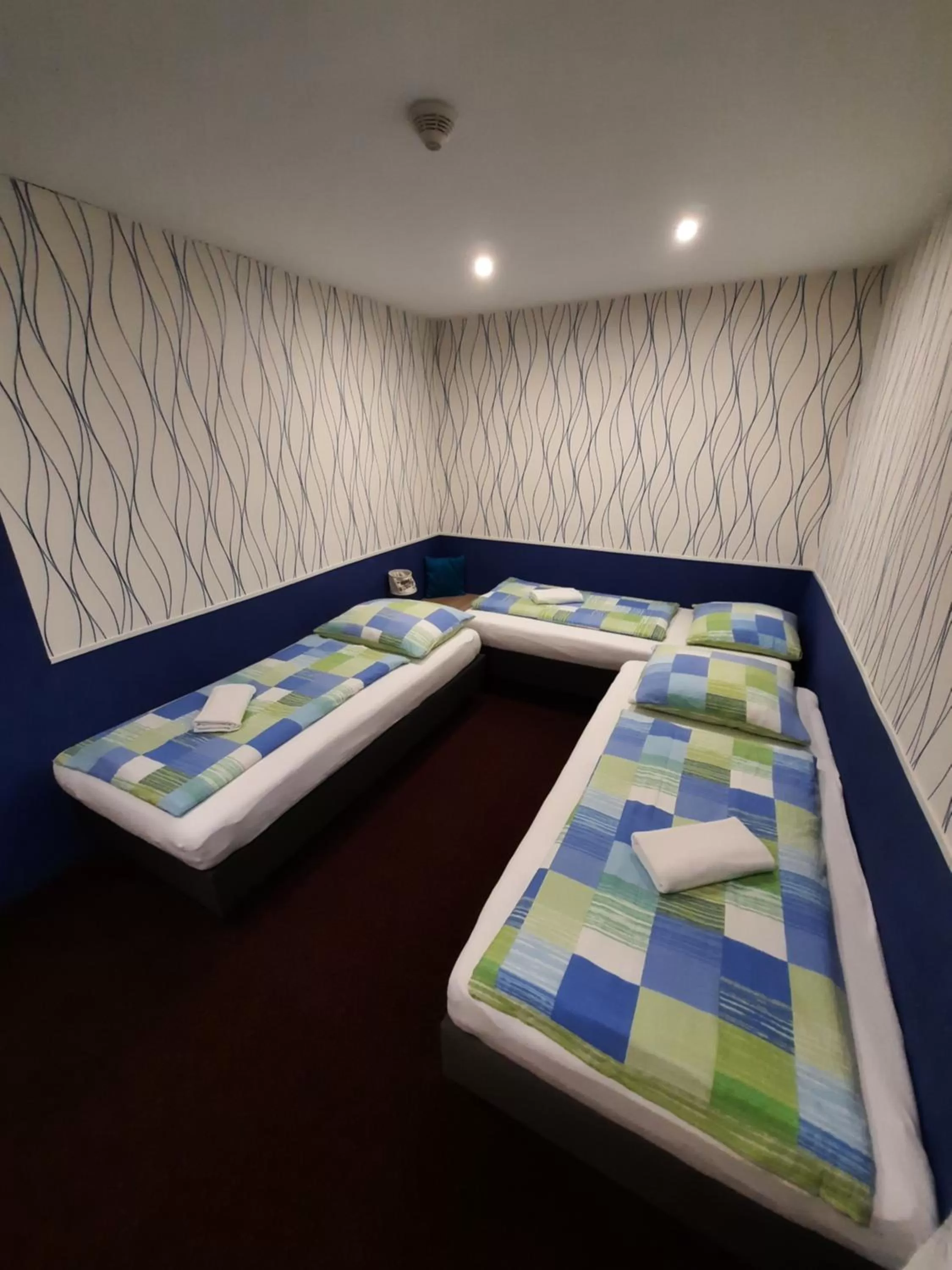 Bed in Hotel Boršičanka