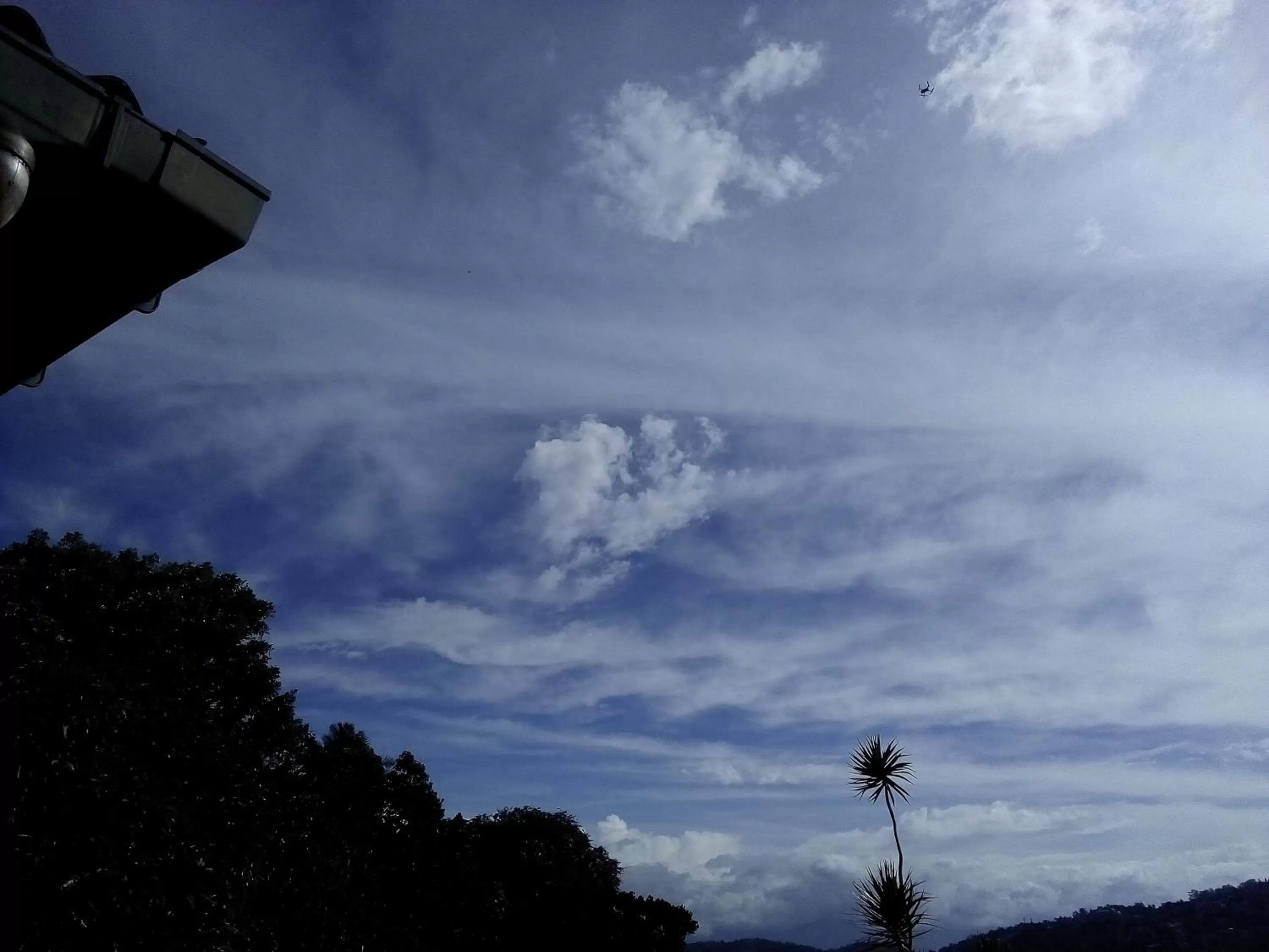 Natural landscape in Evergreen