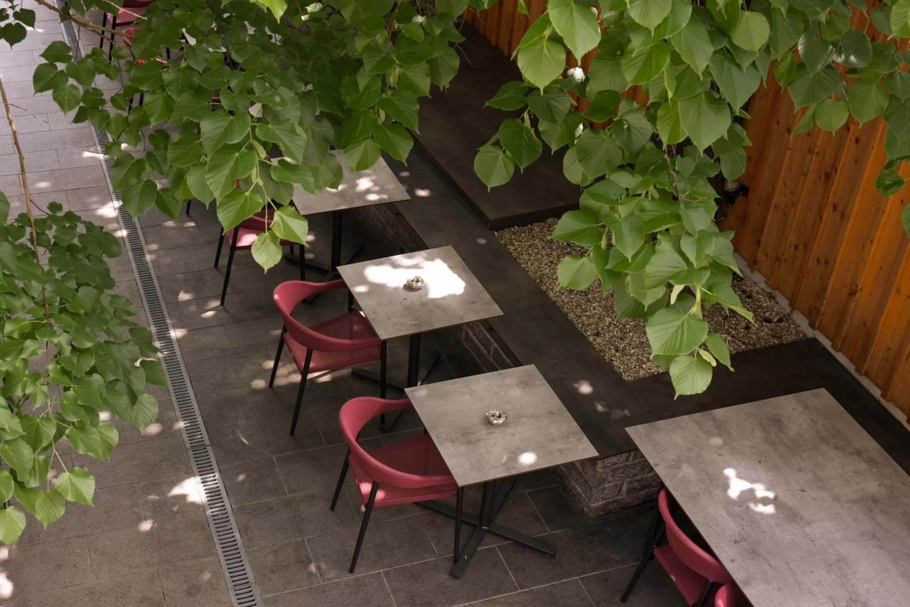 Garden in Aktivhotel Wildschütz