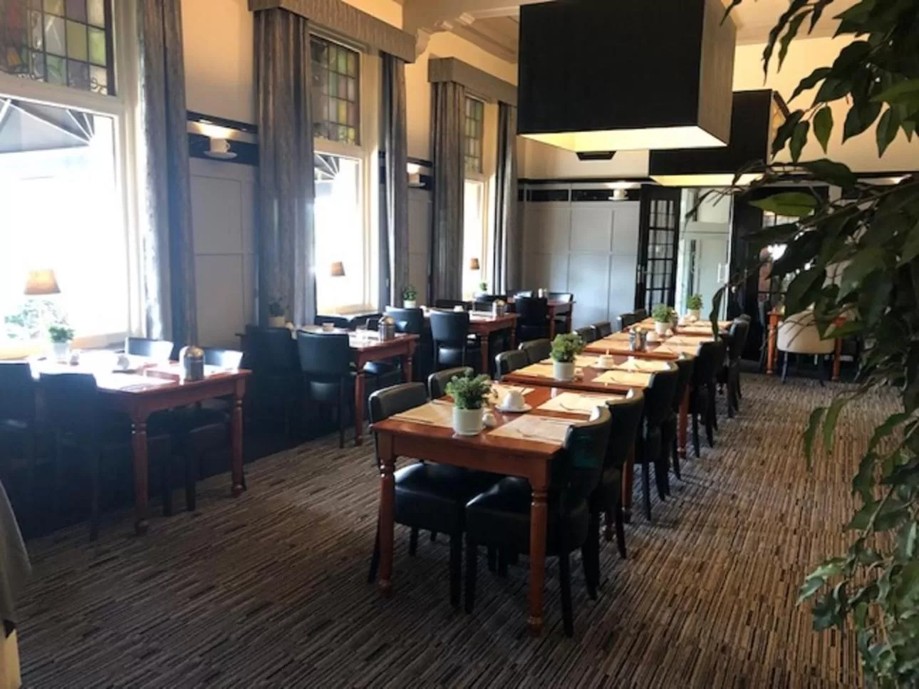 Restaurant/places to eat in Hotel Wilhelmina