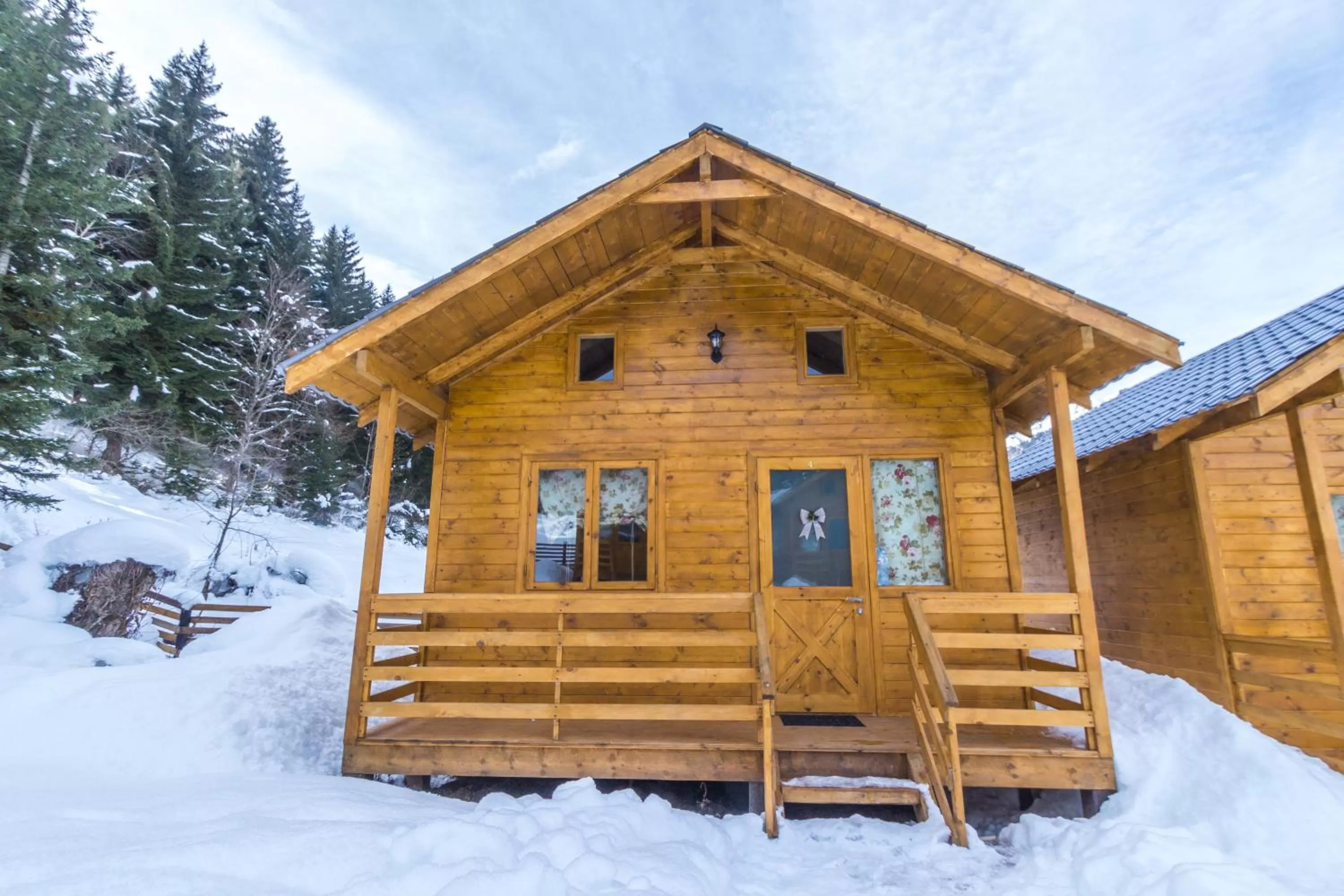 Property building in Mountain Cabins