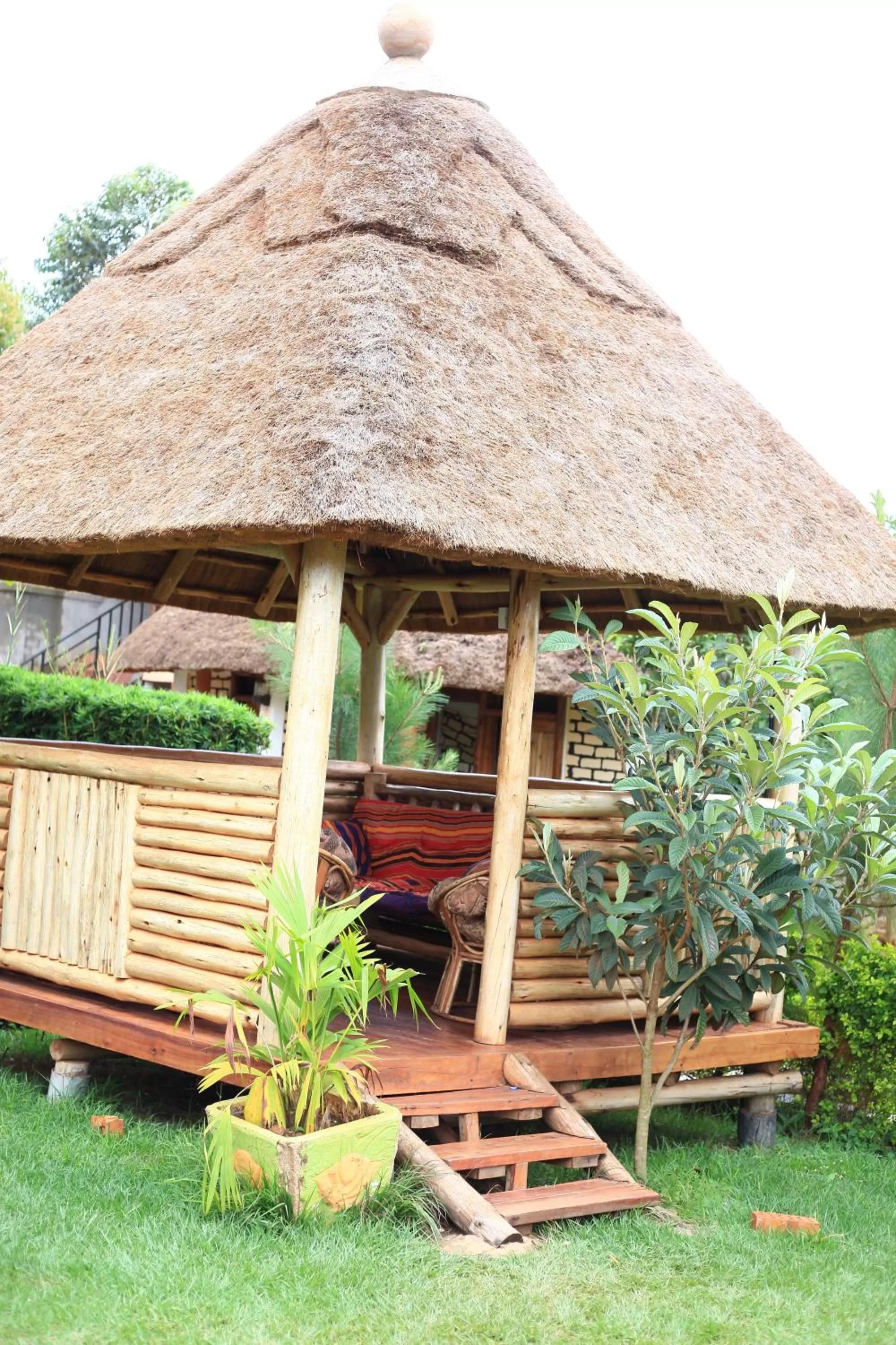 Garden in Elite Backpackers Services