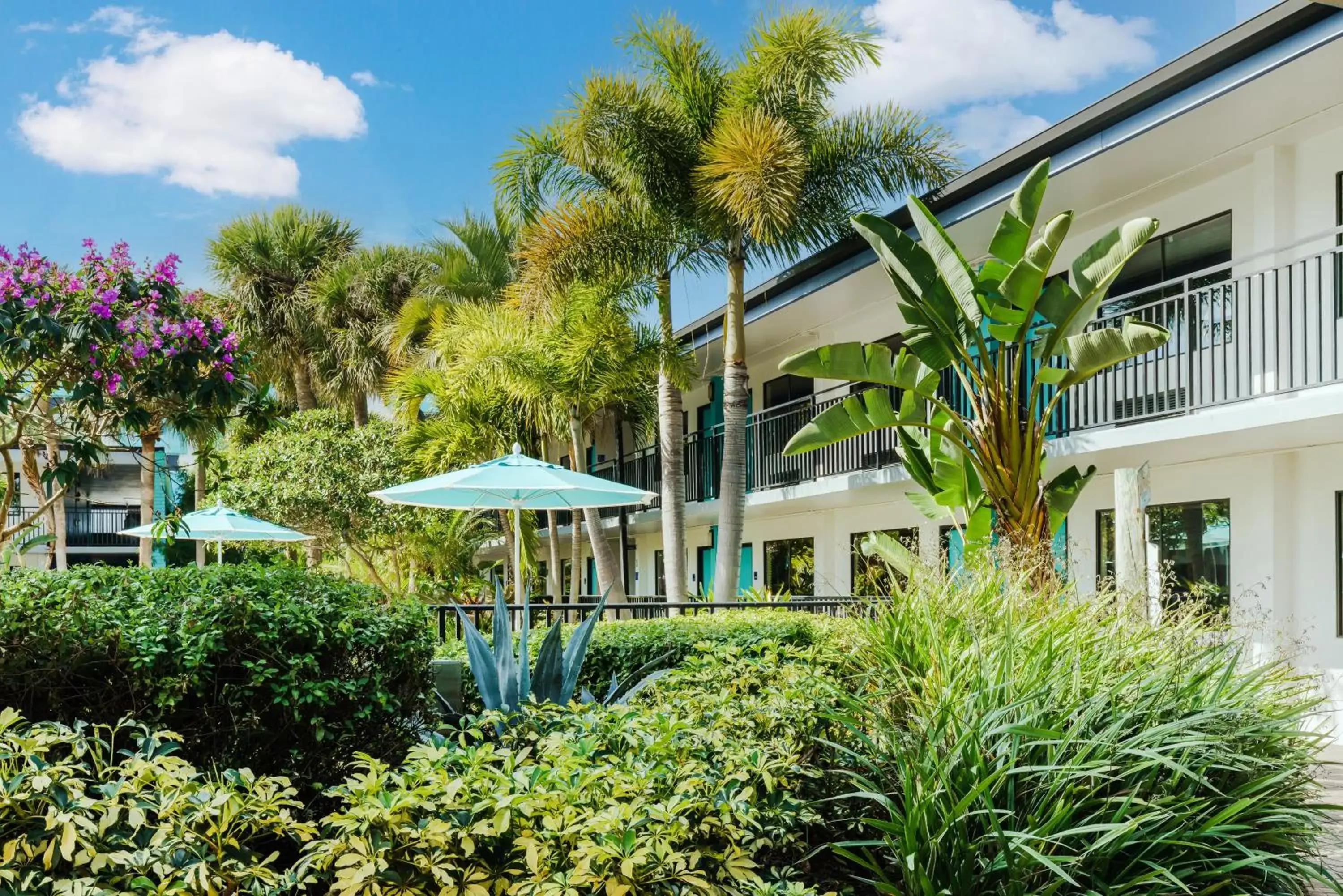 King Standard in Coco Key Hotel & Water Park Resort King Standard in Coco Key Hotel & Water Park Resort