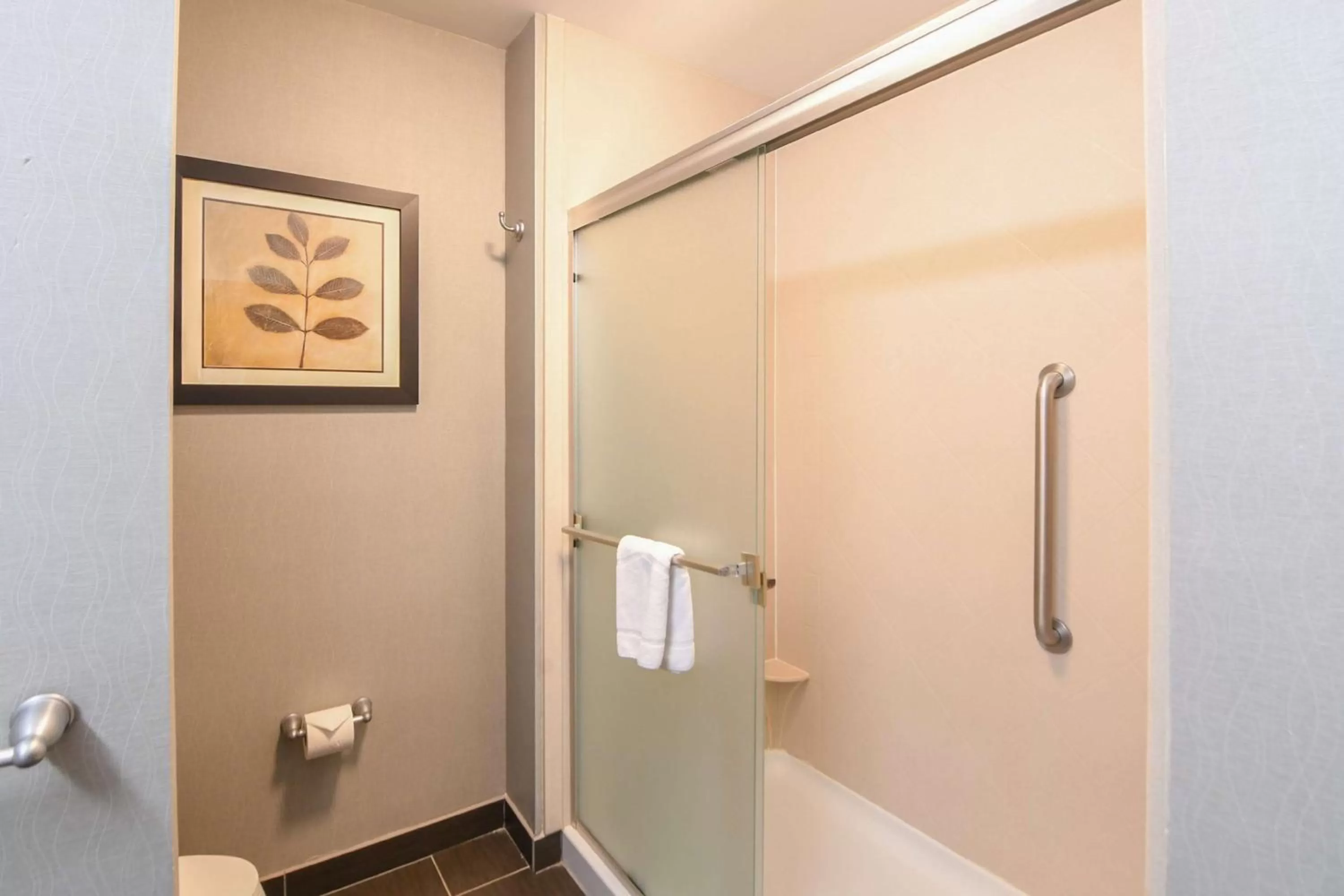 Bathroom in Hampton Inn Foley