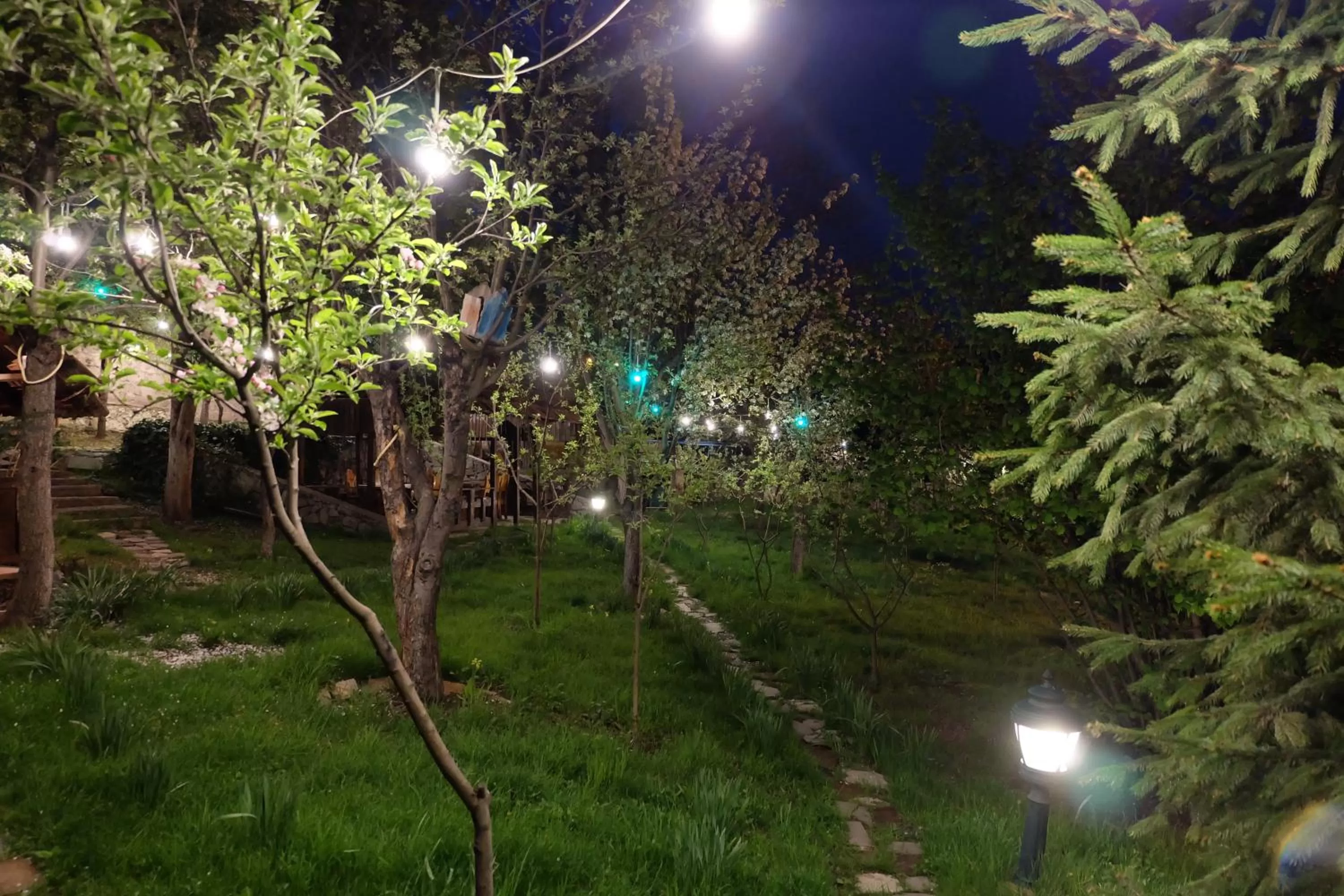 Night, Garden in Dil Hill by Sam