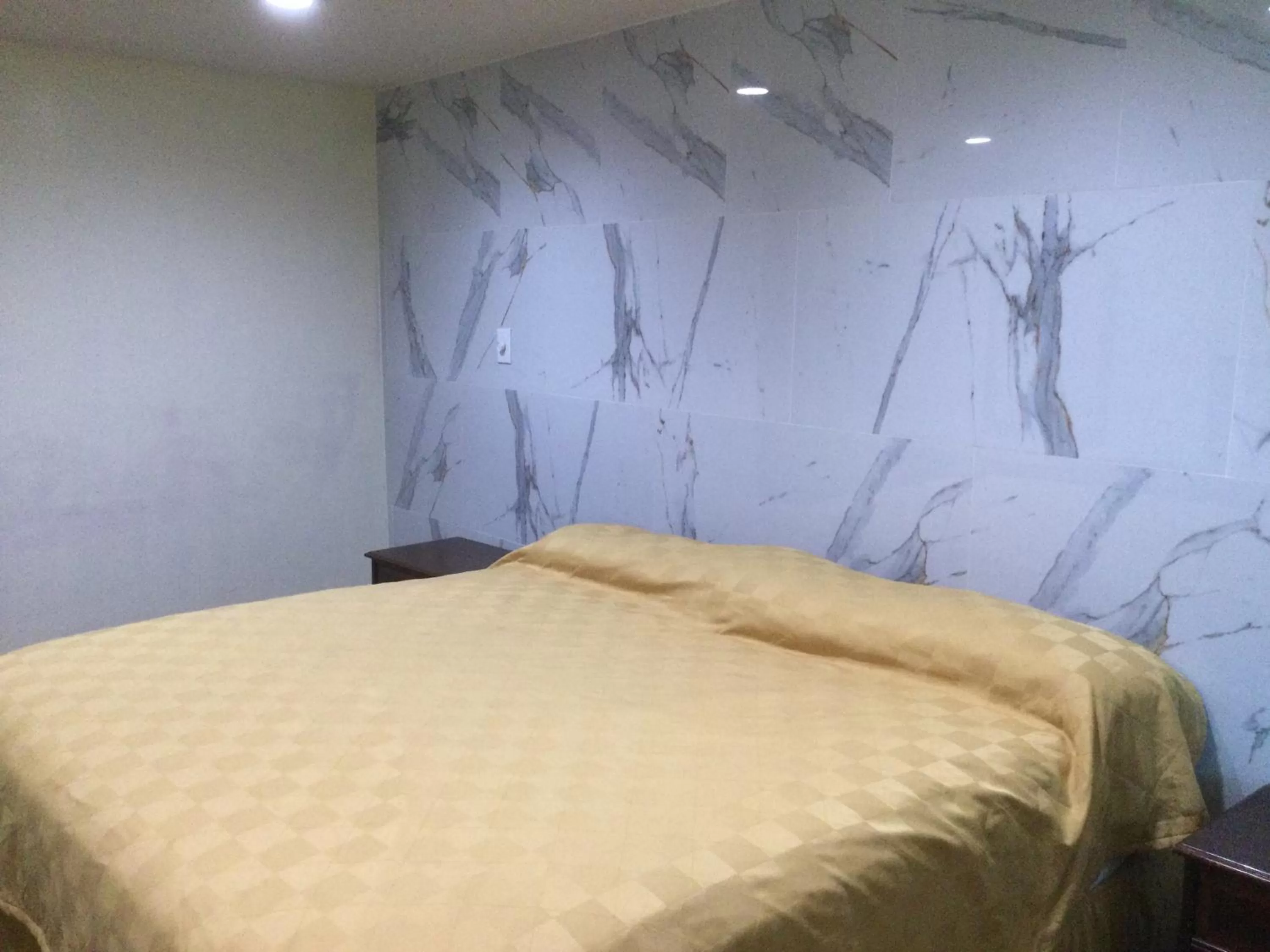 Photo of the whole room, Bed in Americas Express Inn Rocky Mount