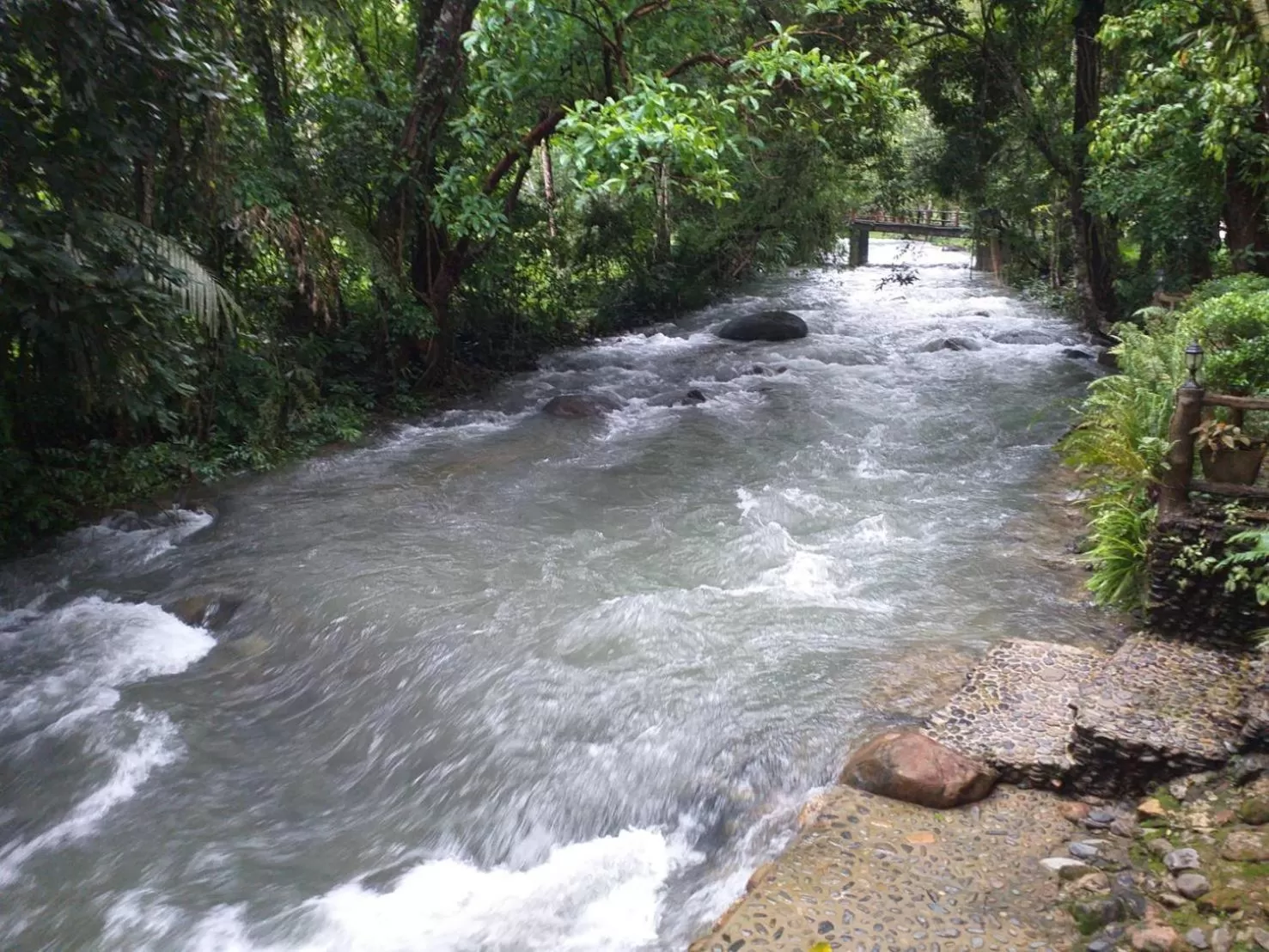 Tree Tops River Huts