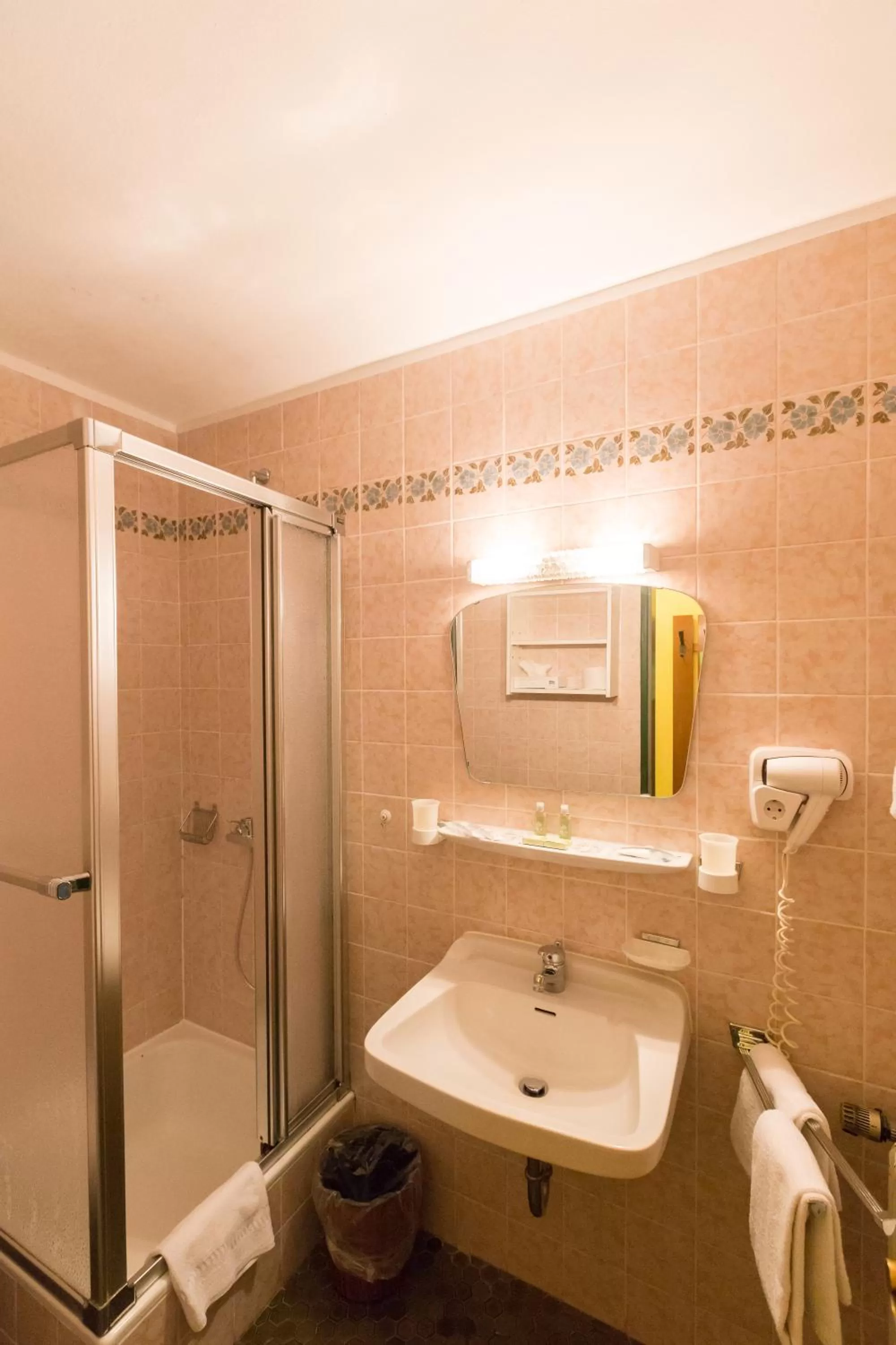 Shower in Hotel Sonnleiten