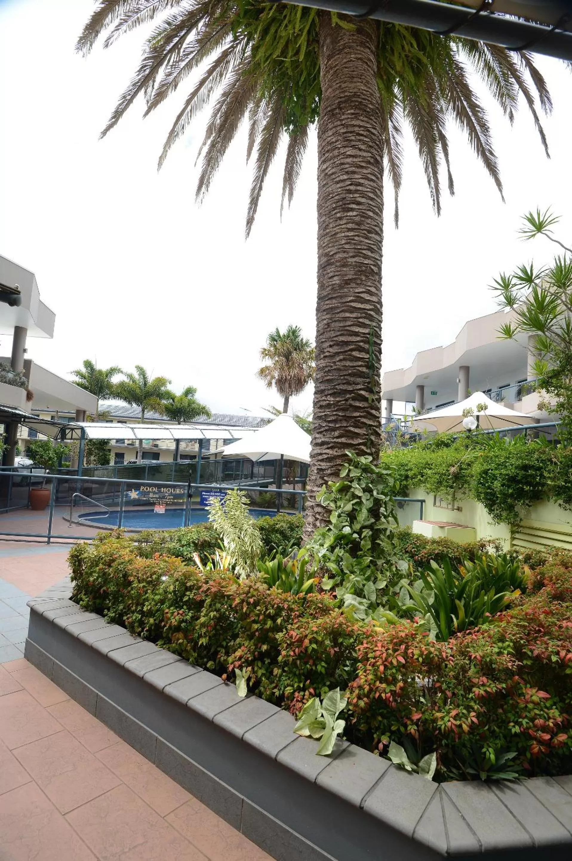 Garden in Rockpool Motor Inn