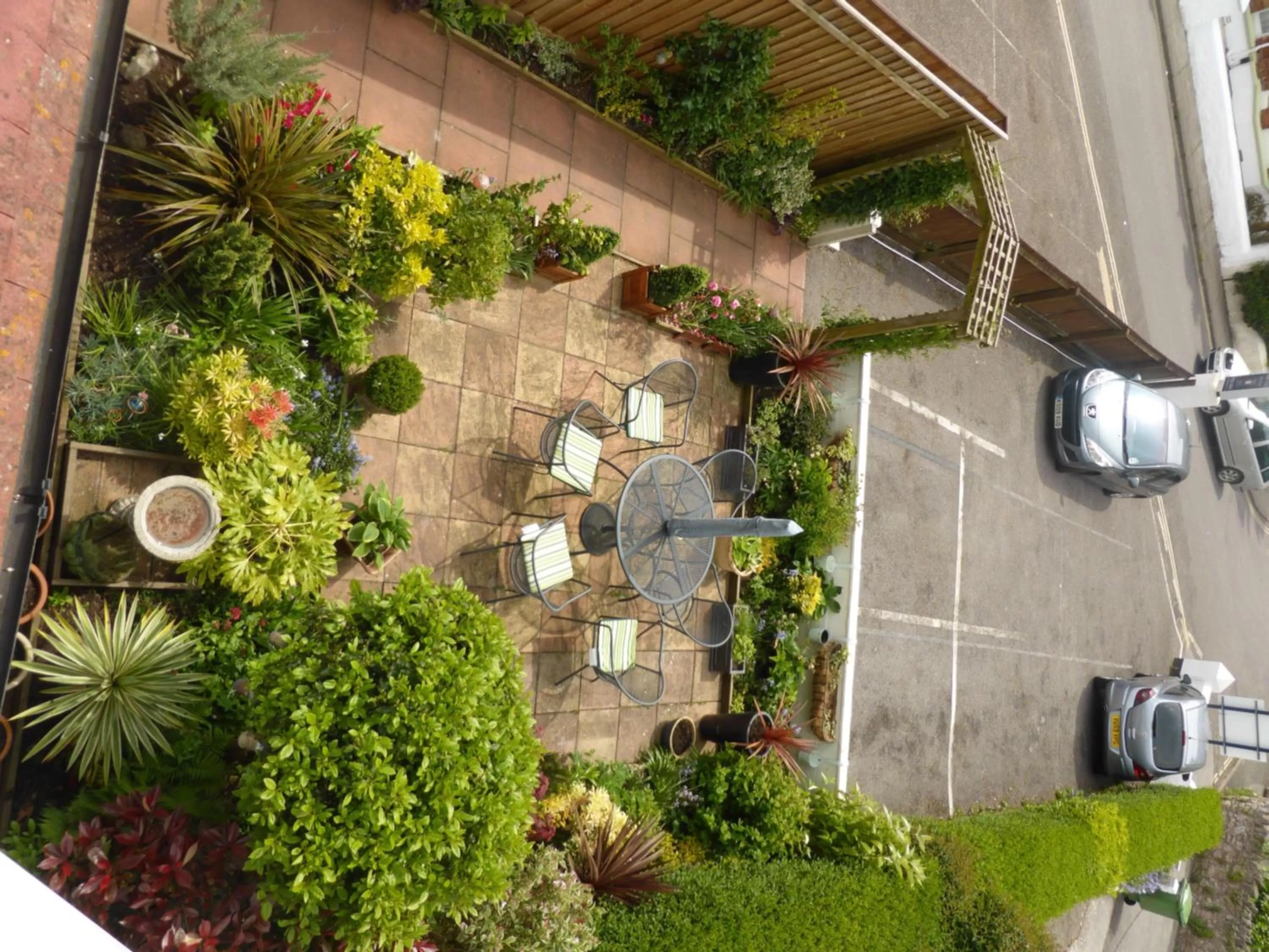 Garden in Belle Dene Guest House