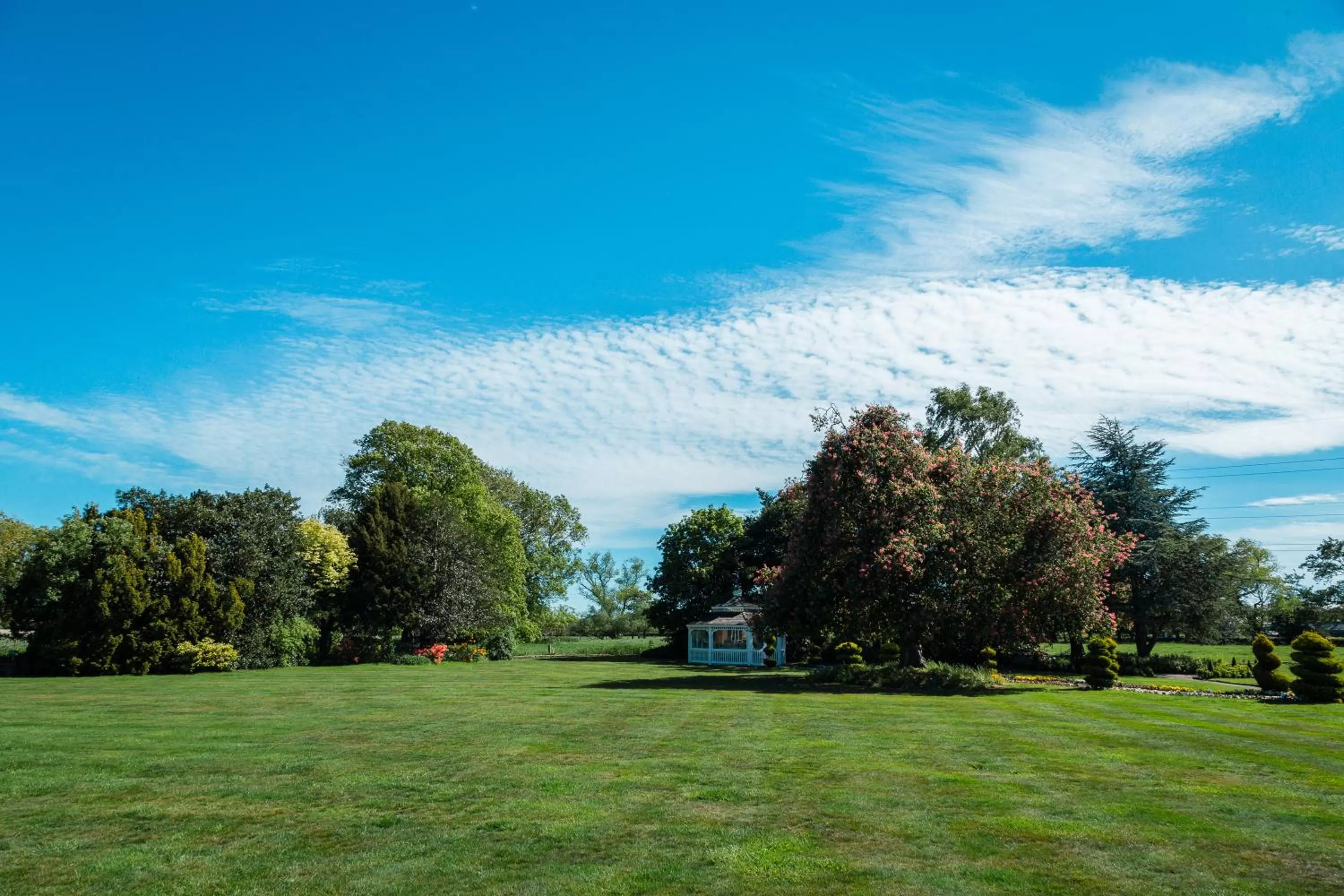 Garden in Thornton Hall Hotel & Spa