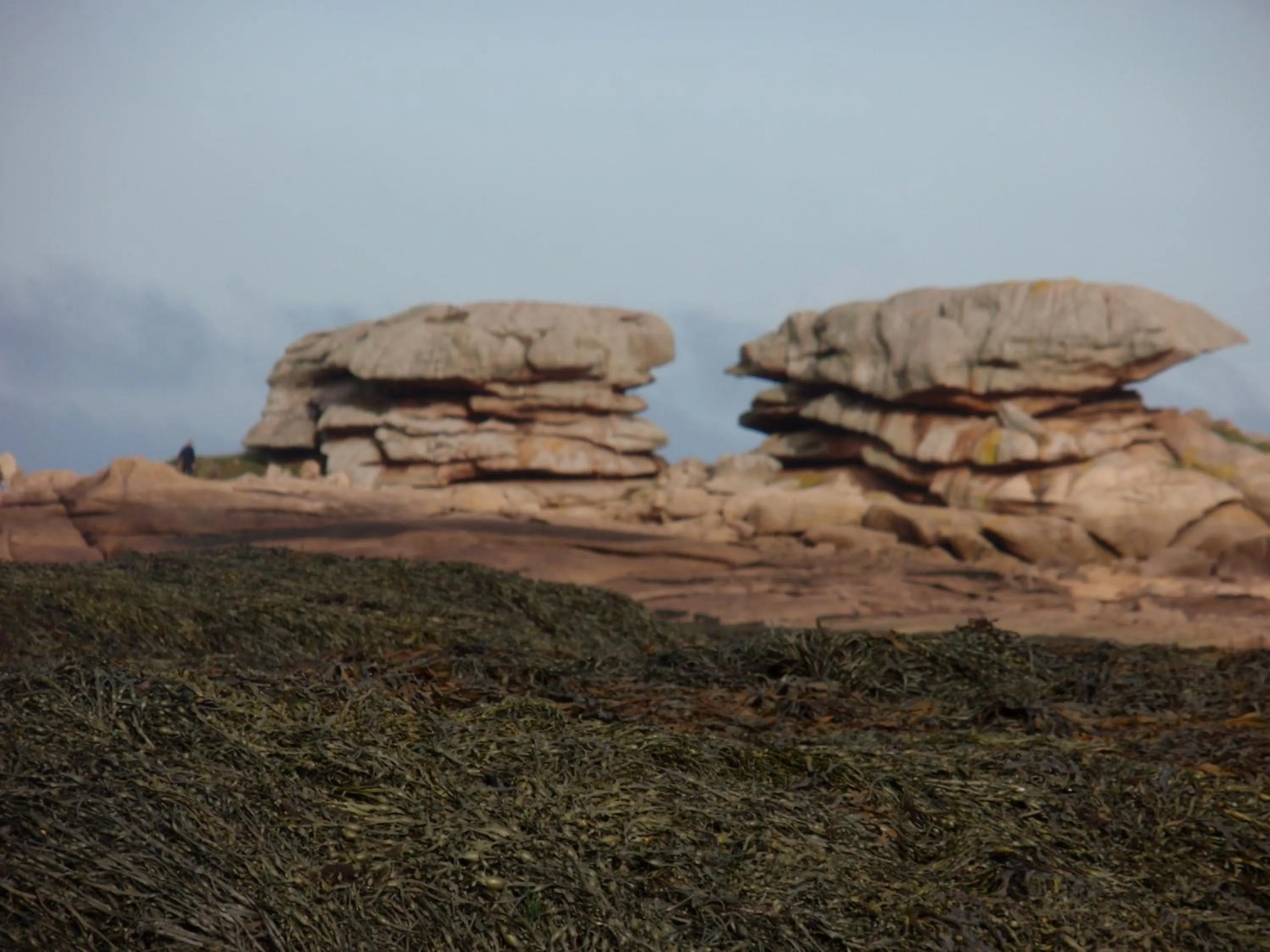 Area and facilities in Citotel Les Sternes