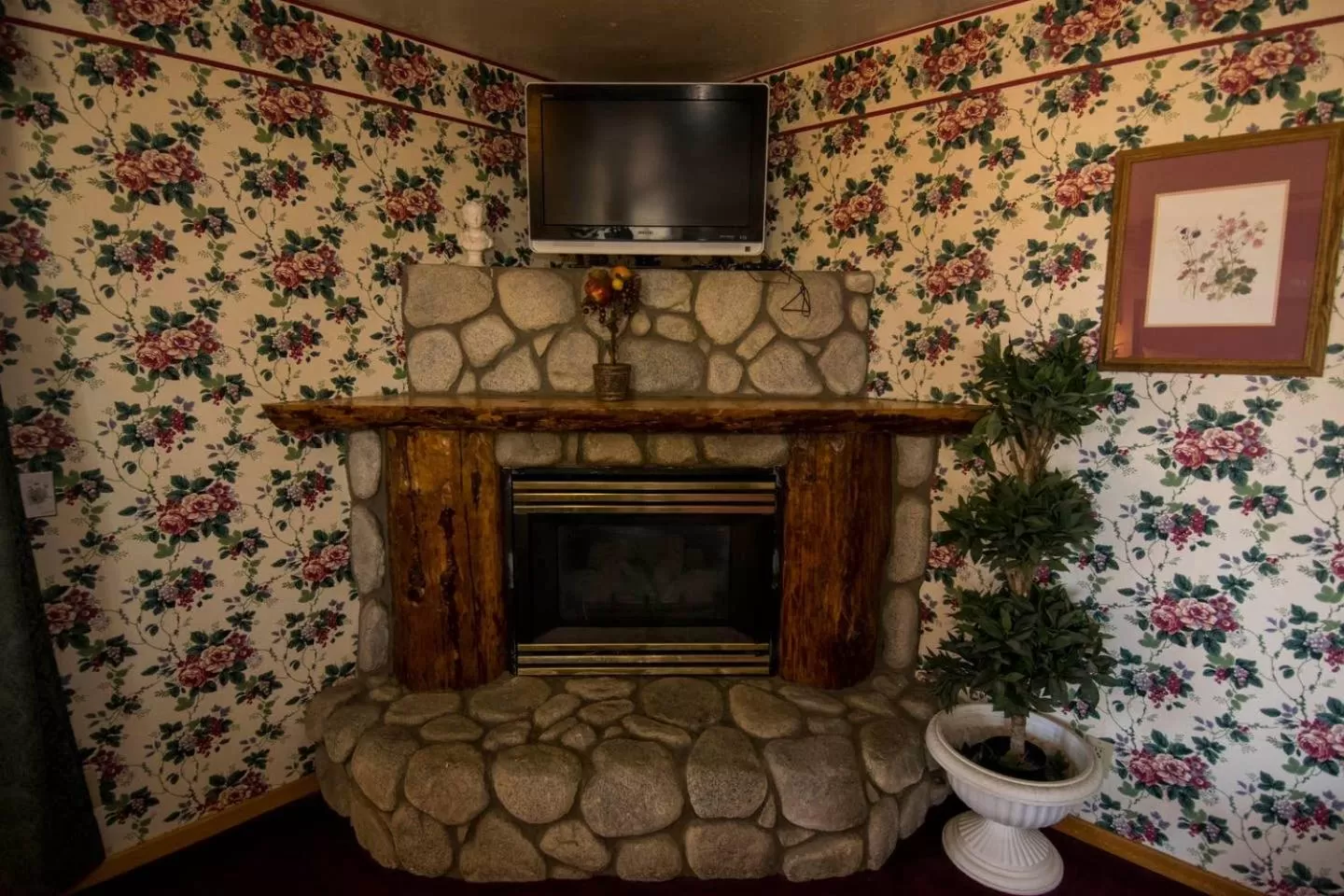 TV and multimedia in Black Forest Lodge