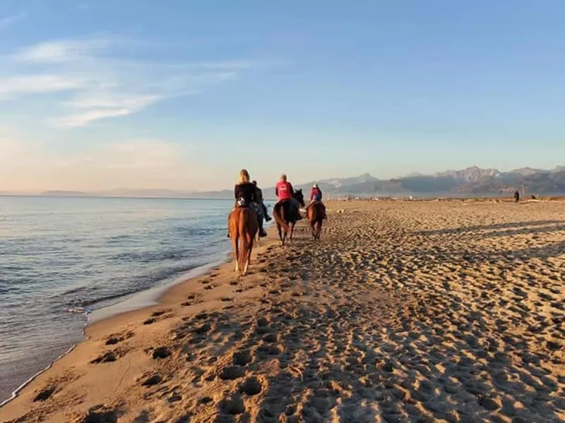 Horseback Riding in I Levrieri b&b