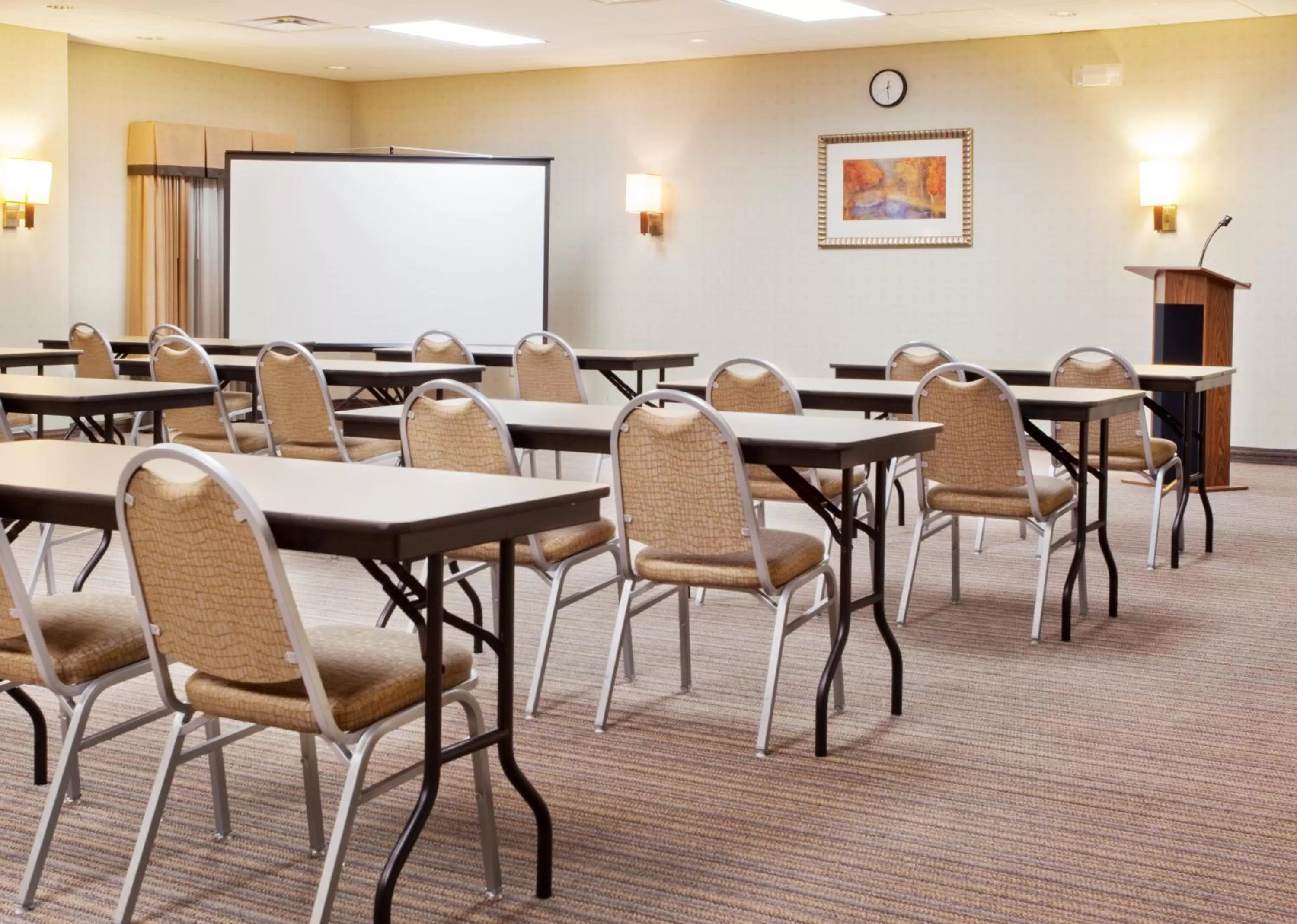 Meeting/conference room in Holiday Inn Express Hotel & Suites Austell Powder Springs by IHG