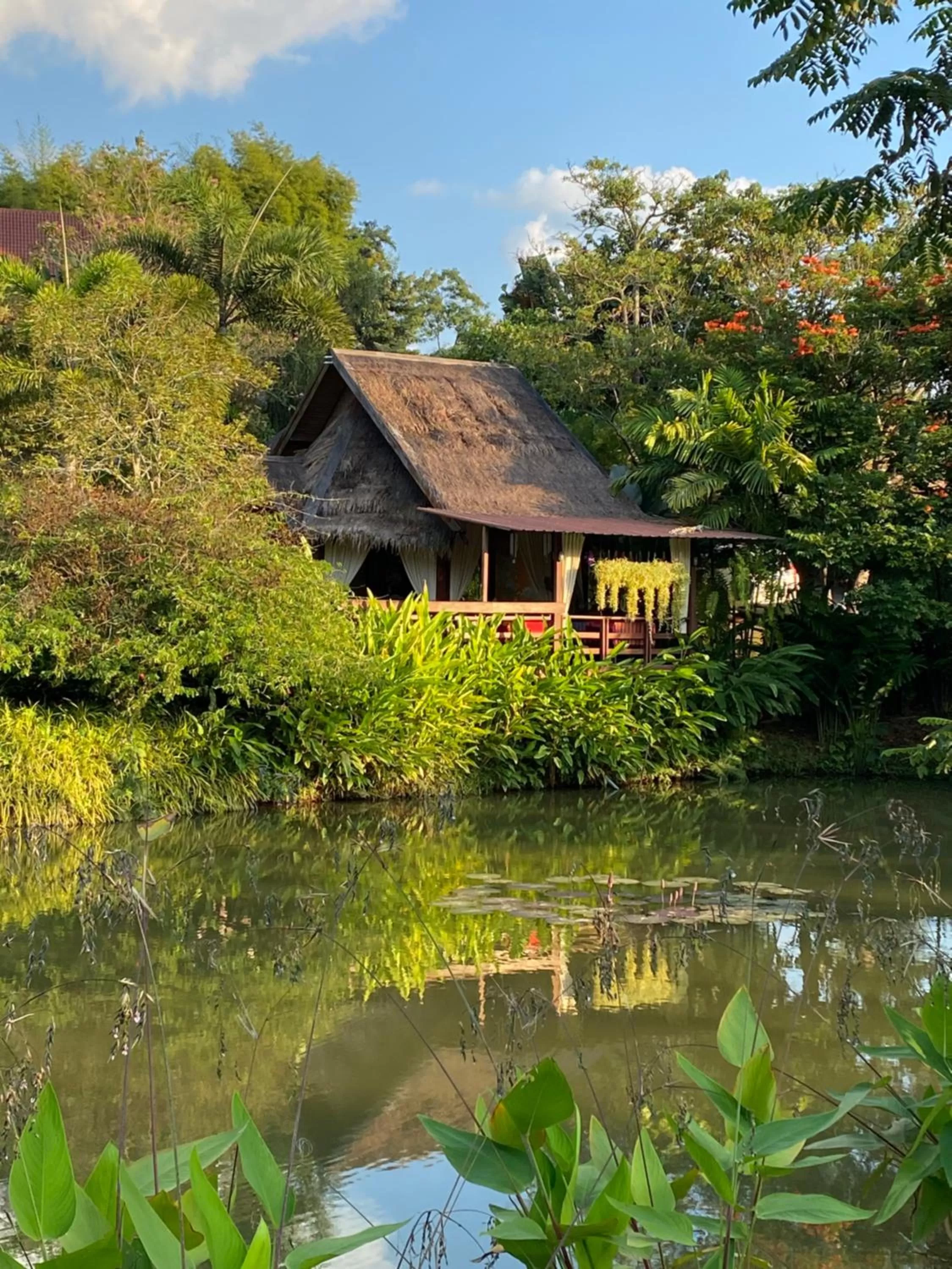 Patio in Pura Vida Pai Resort