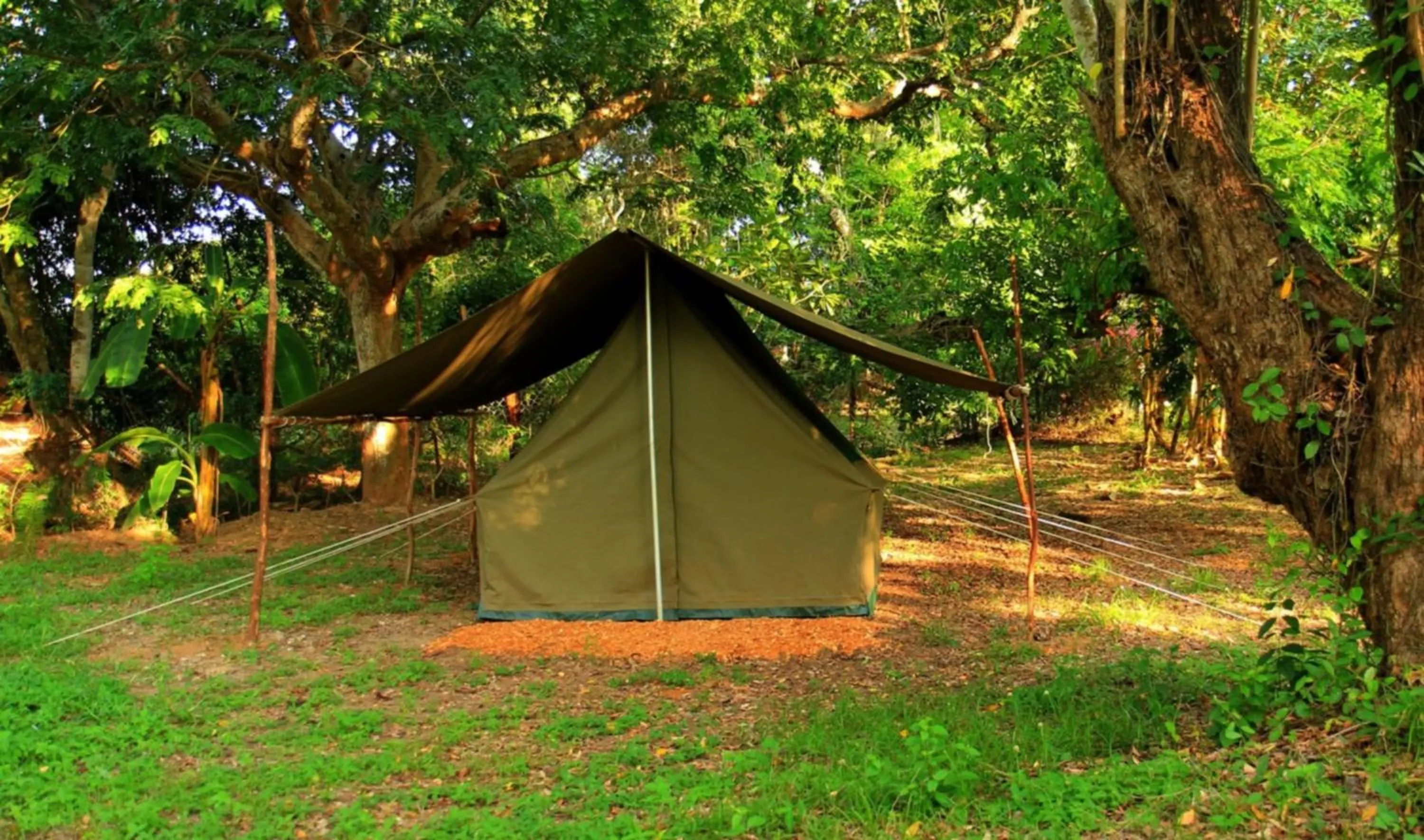 Garden in Distant Relatives Ecolodge & Backpackers