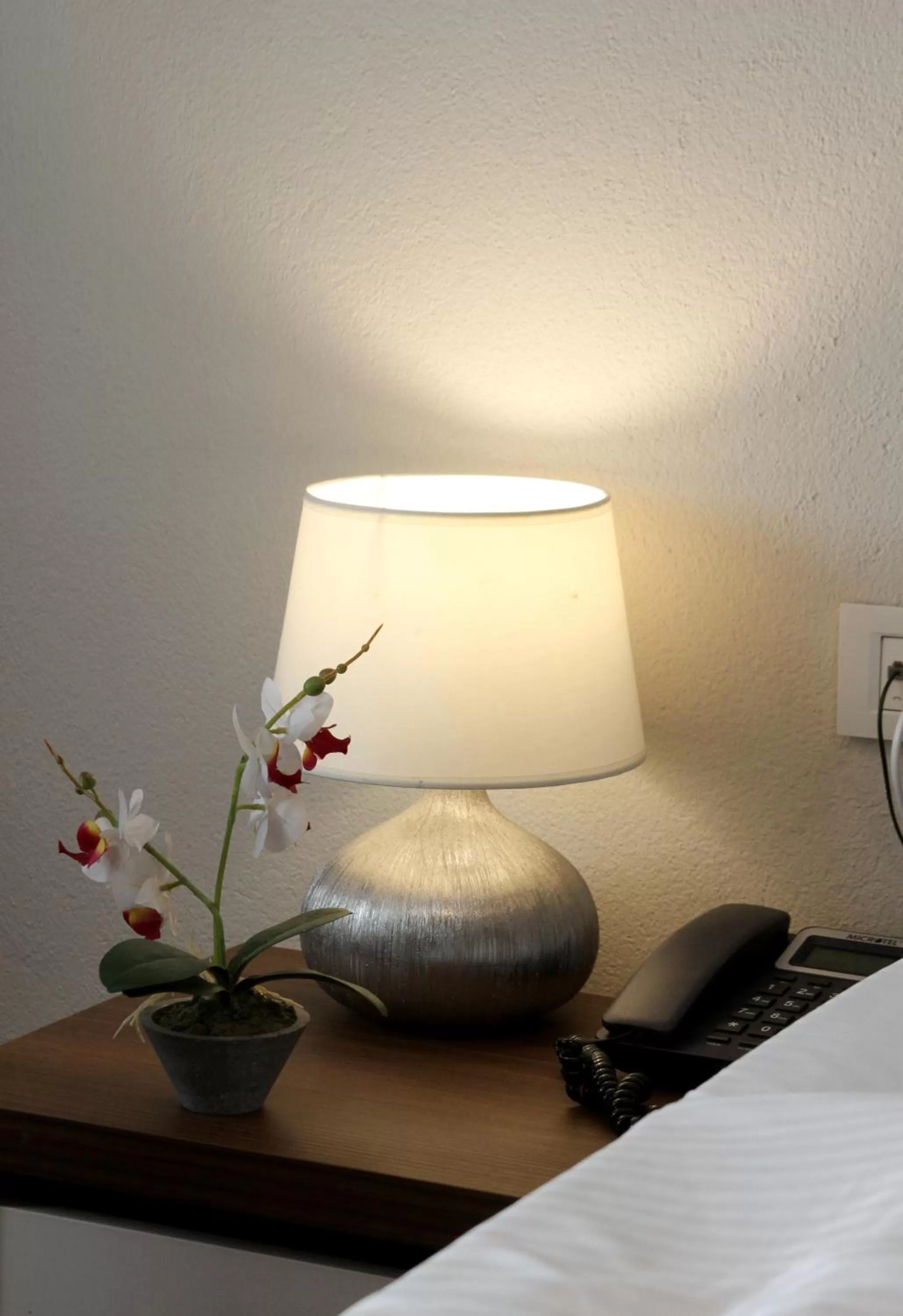 Area and facilities in Hotel Driada