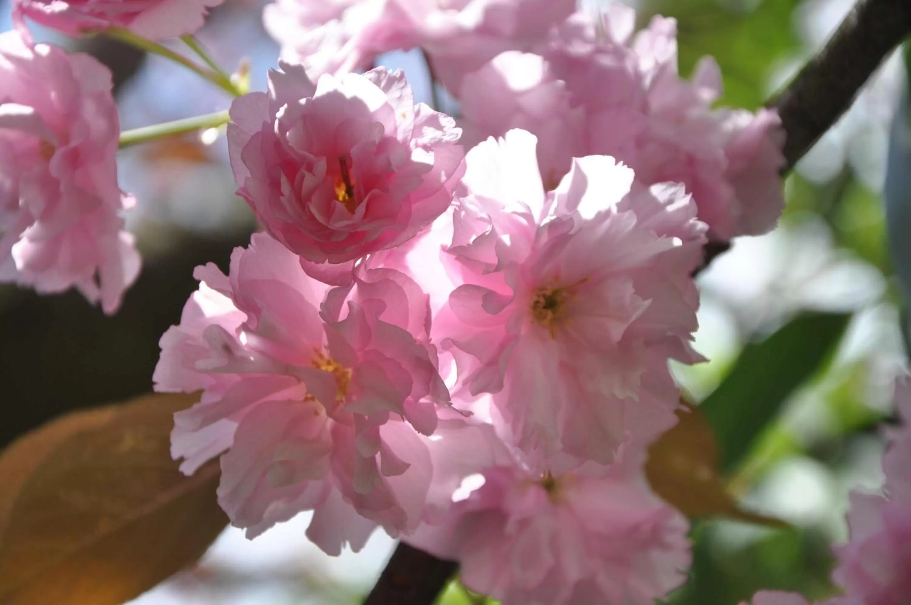 Other in Bed and Breakfast Bavaria München