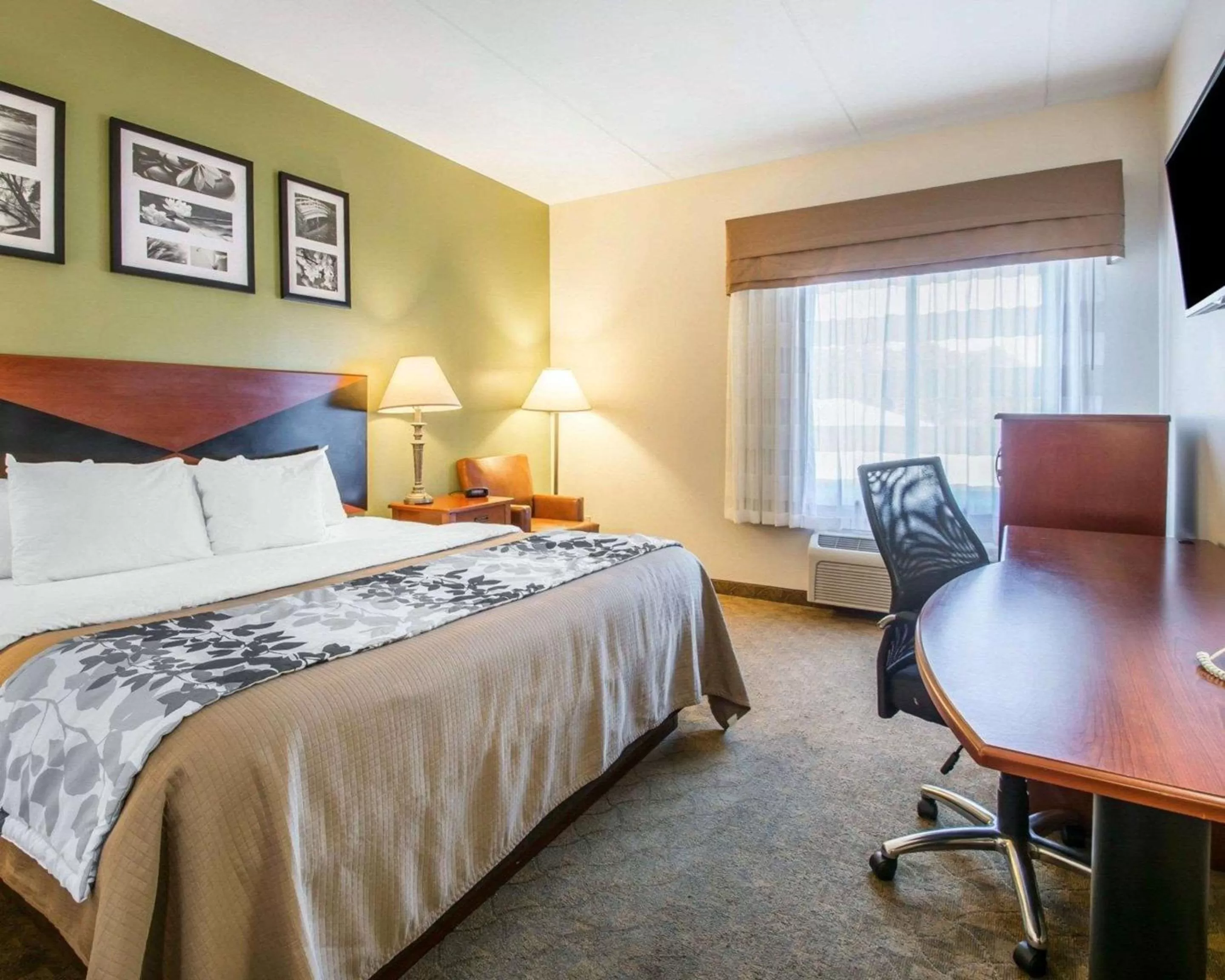 King Room - Non-Smoking in Sleep Inn & Suites Panama City Beach